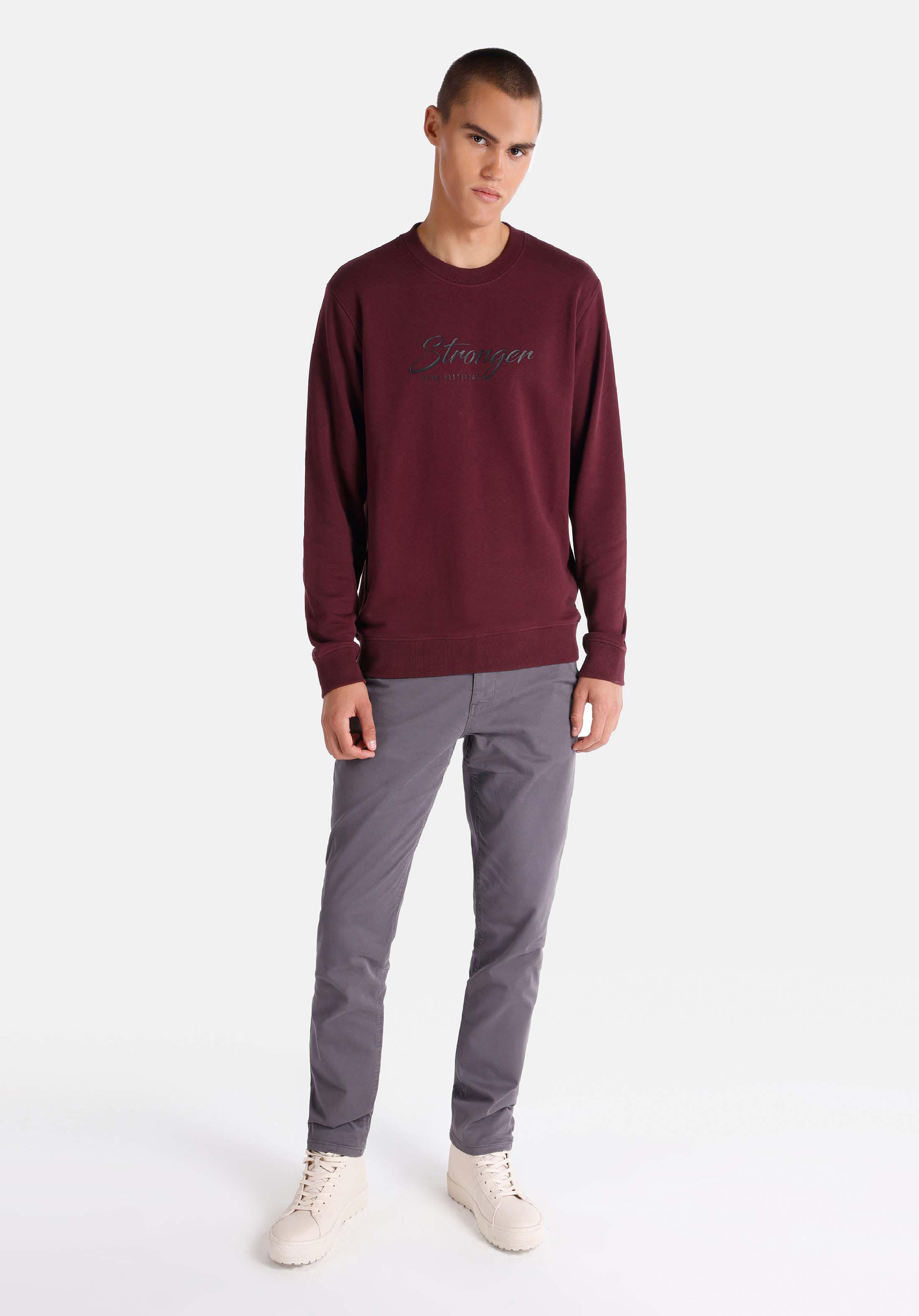 Regular Fit   Erkek Bordo Sweatshirt