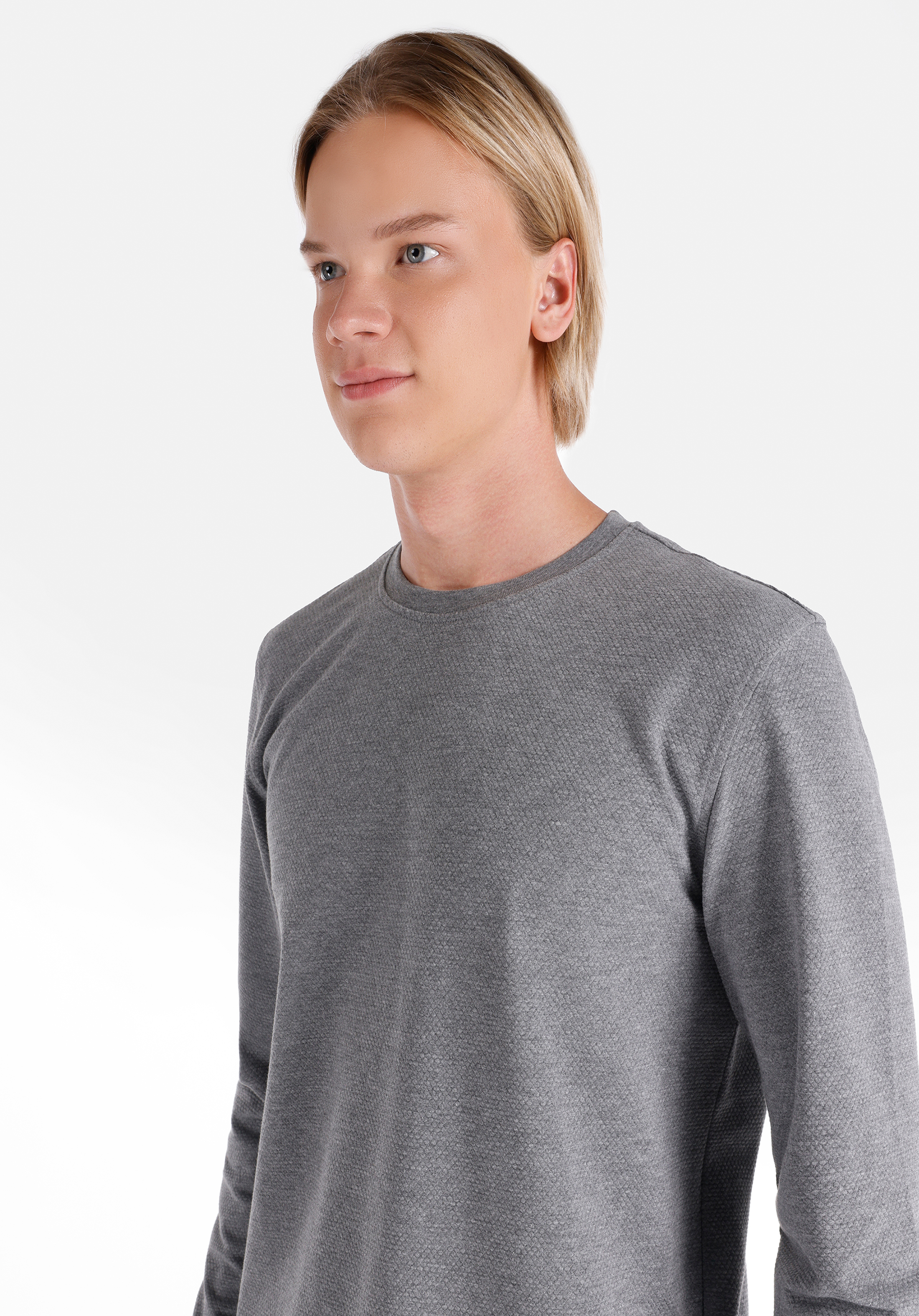 Regular Fit Yuvarlak Yaka Jakarlı Erkek Gri Uzun Kol Tişört