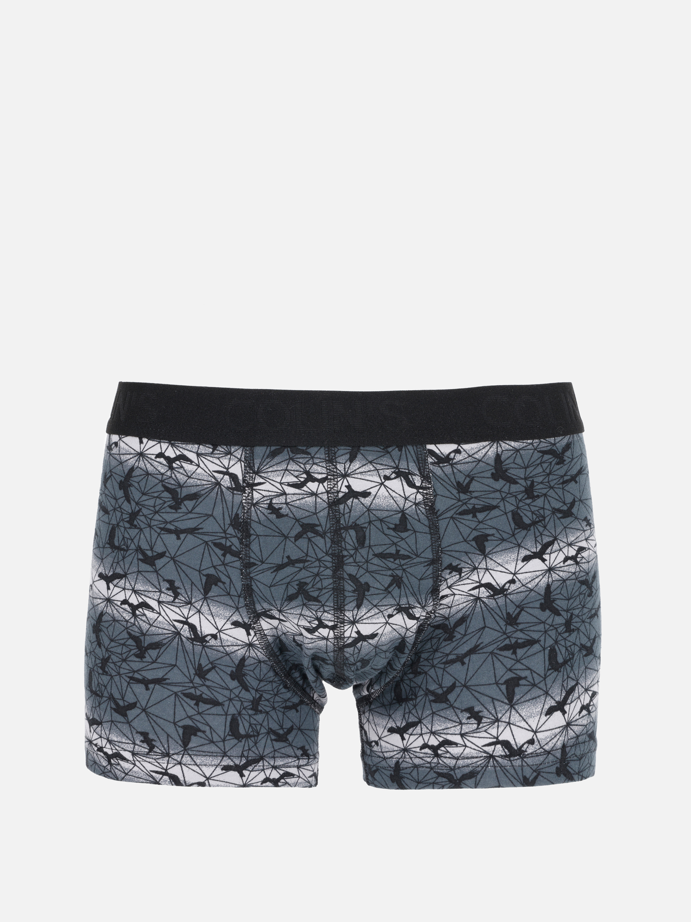 Colin Boxer COLIN'S Modern Fit Baskılı Erkek Antrasit Boxer | Colin's