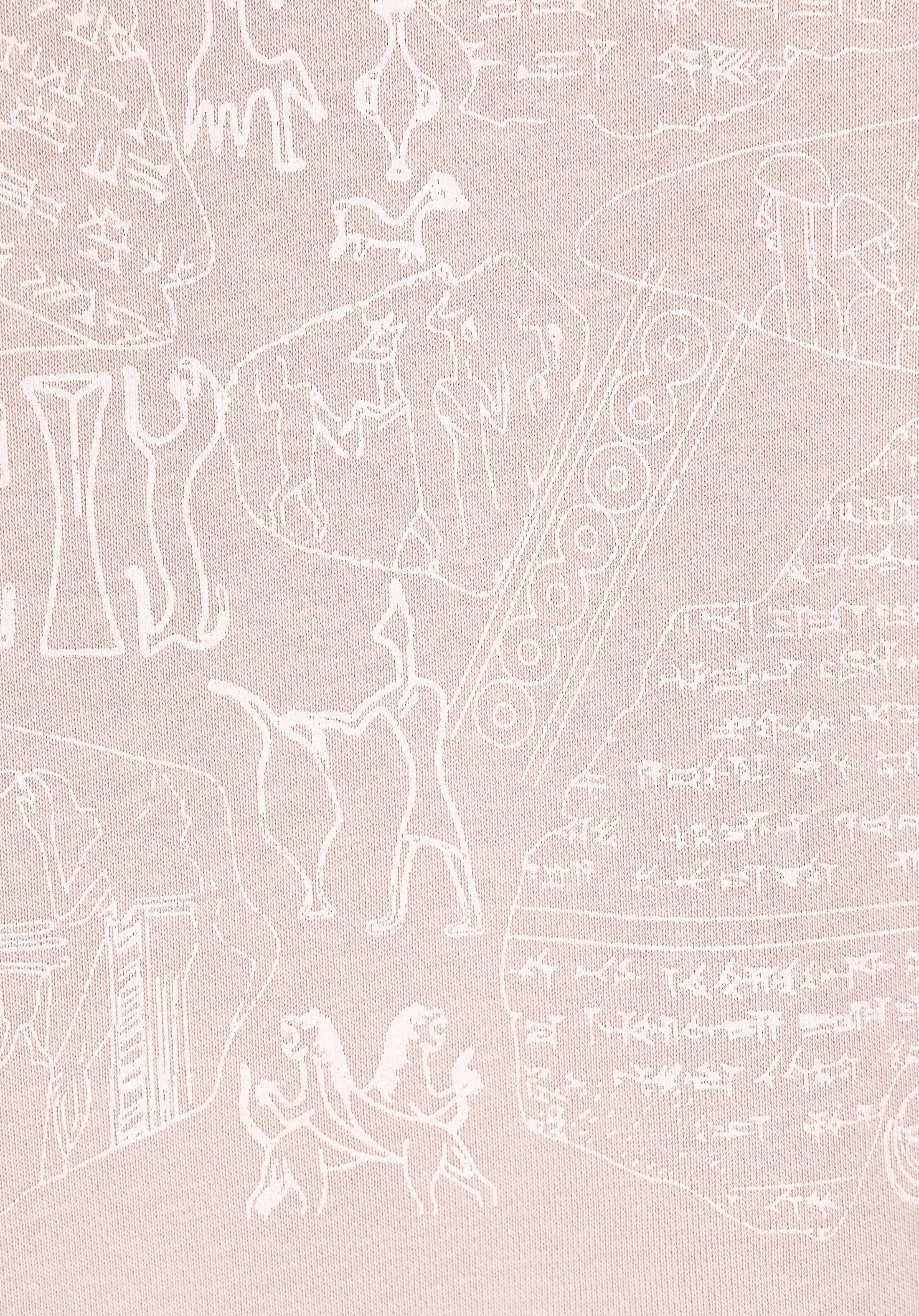 Regular Fit Kapüşonlu Baskılı Kadın  Sweatshirt