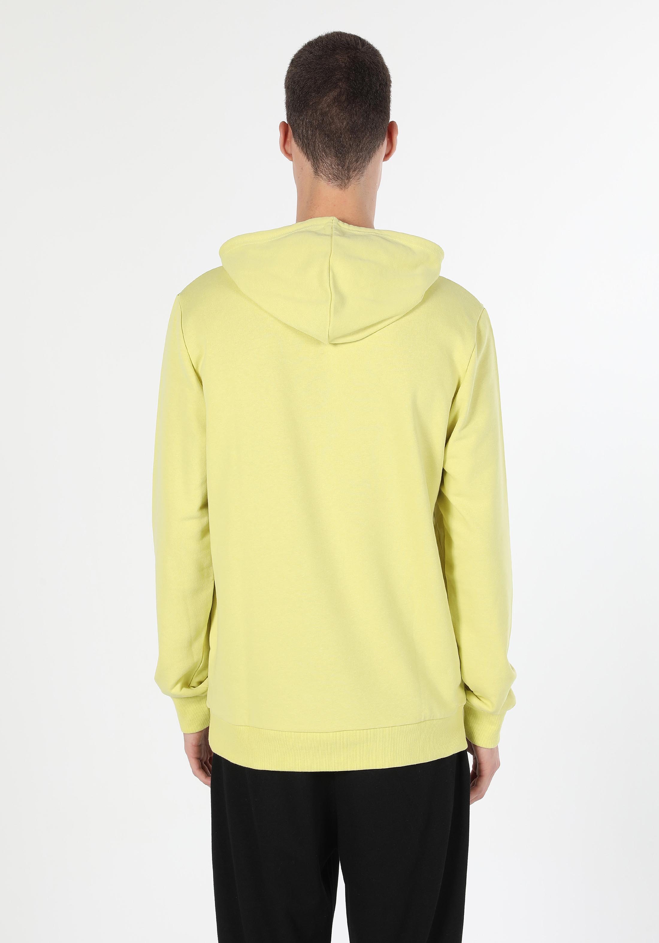 Regular Fit   Erkek Yeşil Sweatshirt