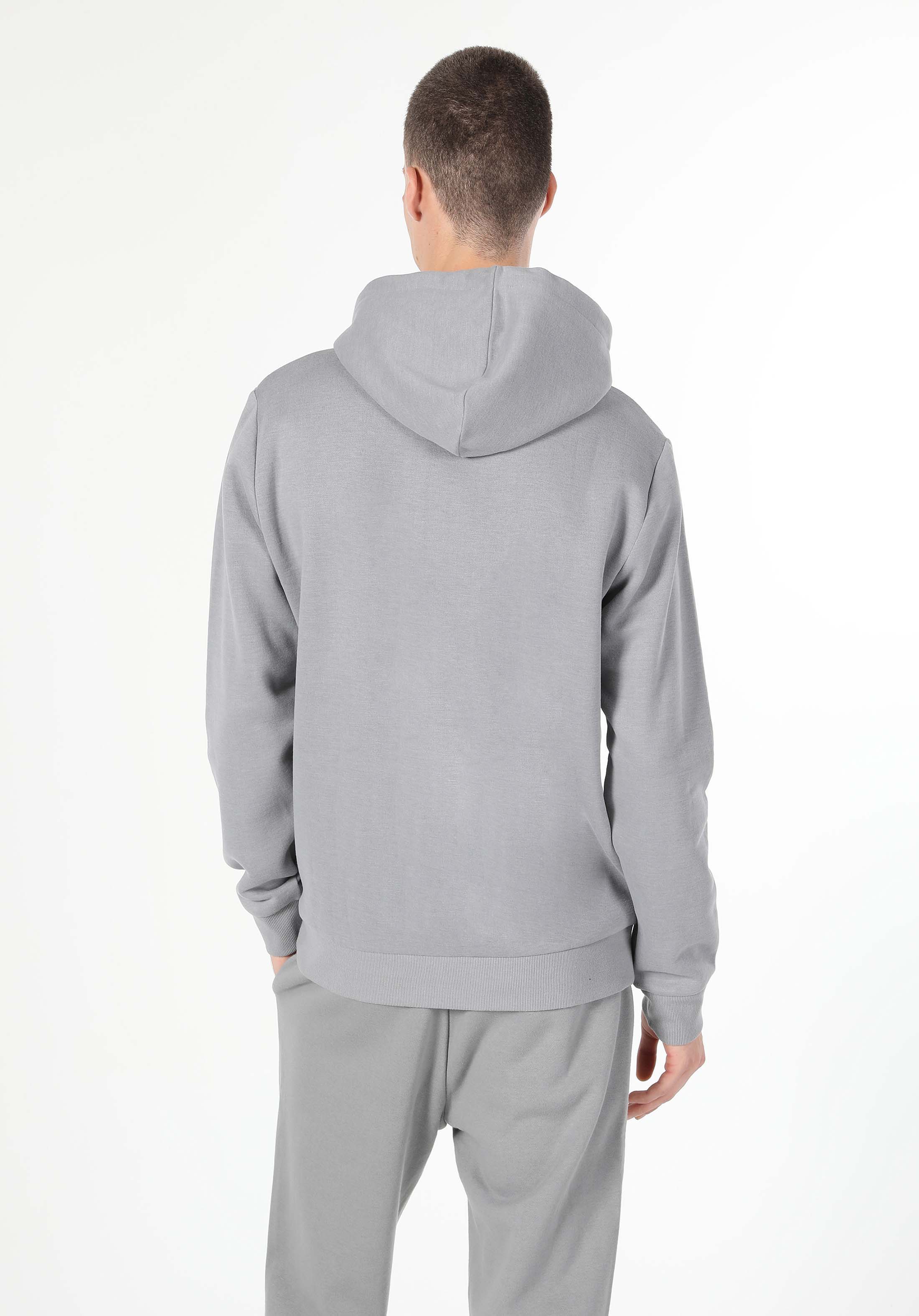 Regular Fit   Erkek Gri Sweatshirt