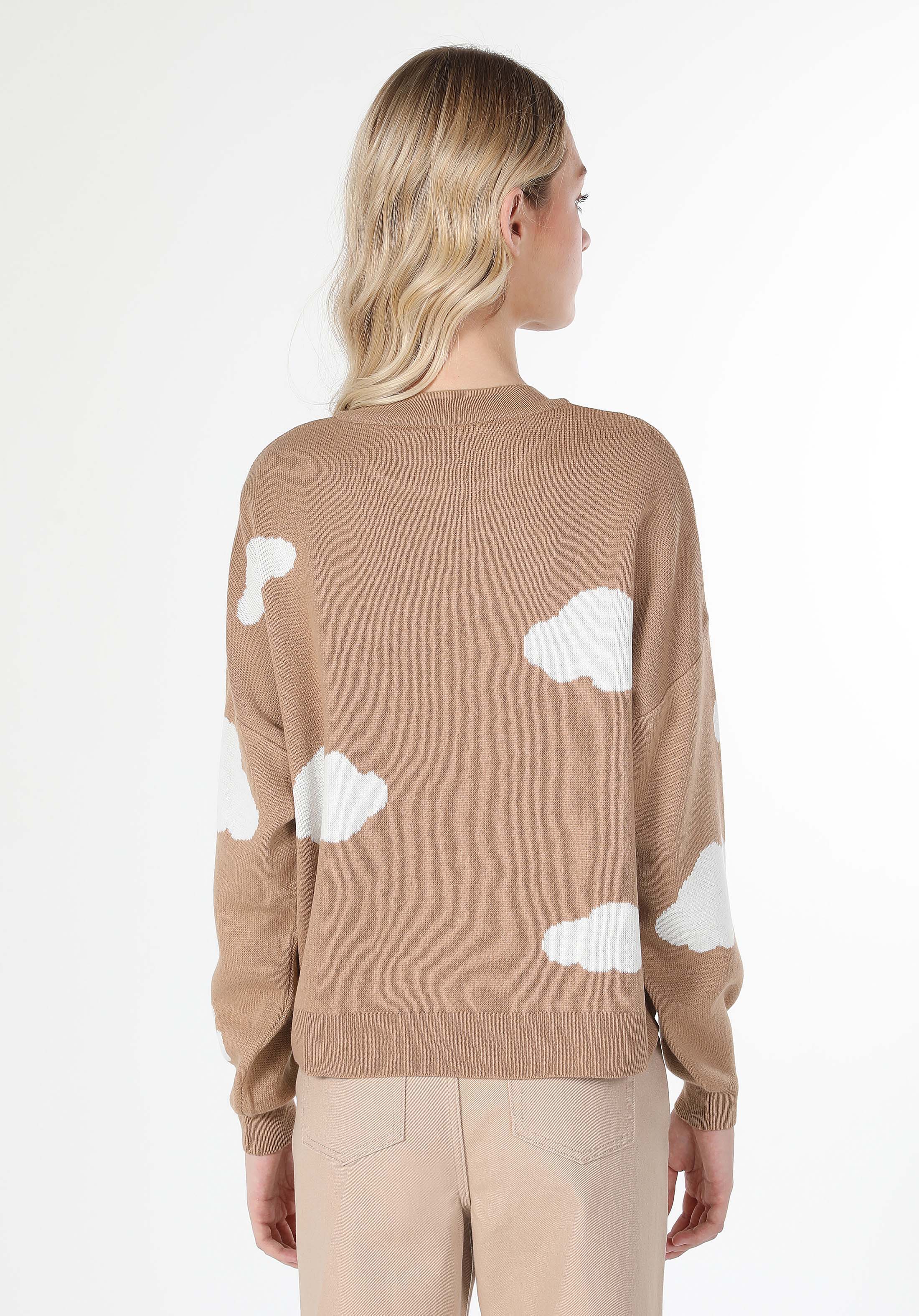 Regular Fit Yuvarlak Yaka  Kadın Bej Kazak Cl1061094