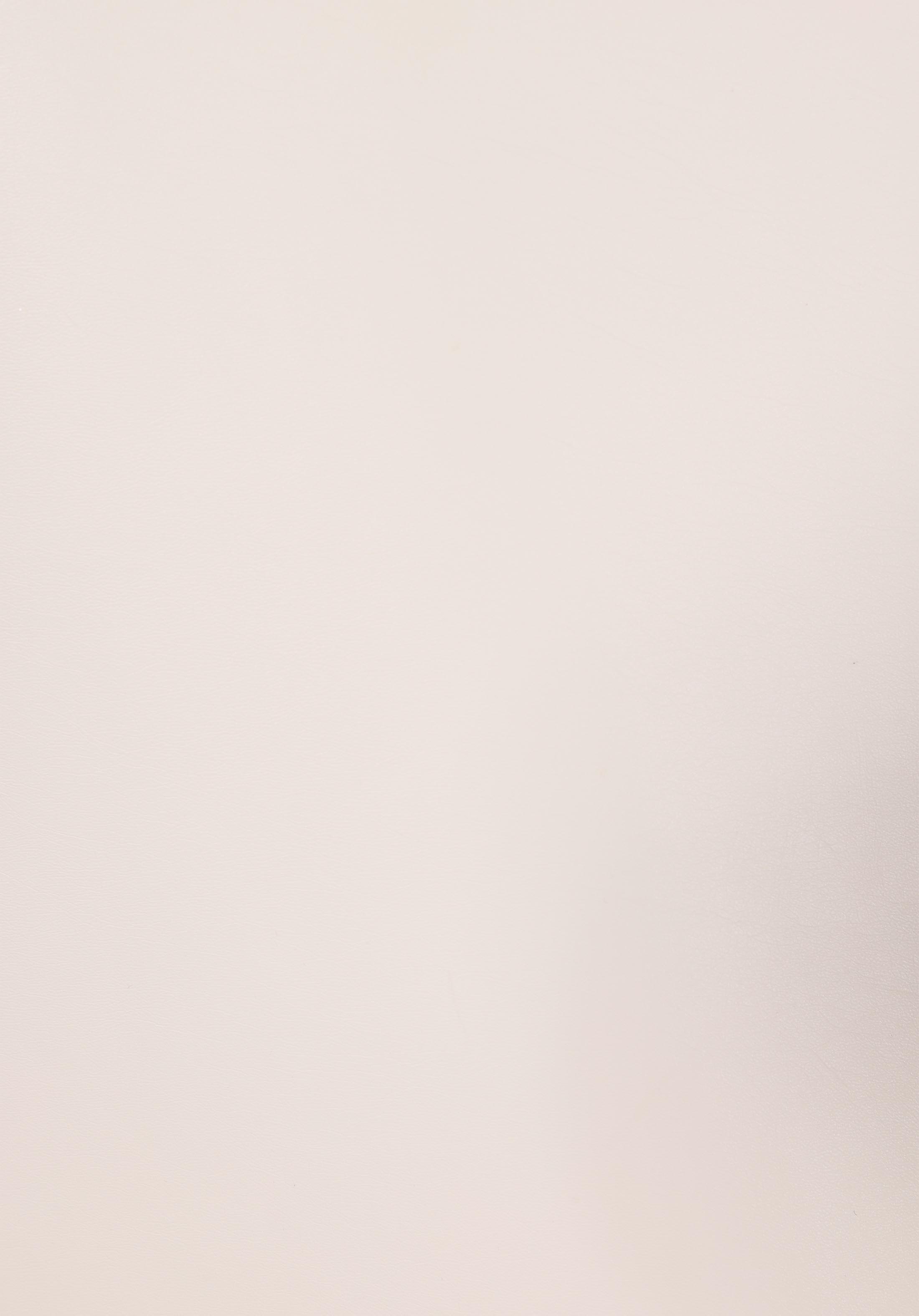 Regular Fit Kapüşonlu Fermuarlı Astarlı Kaplamalı Kadın Ekru Mont Pu