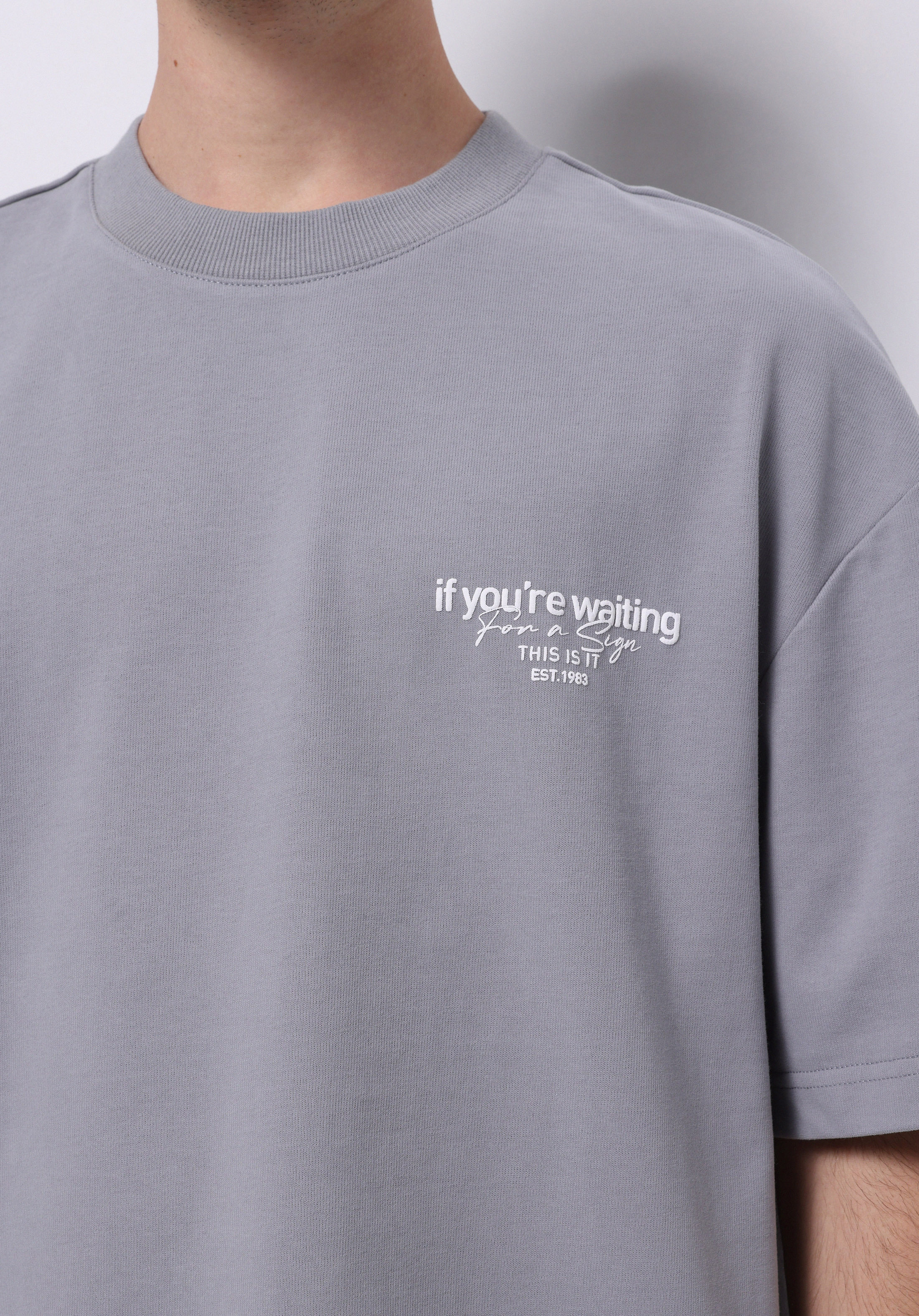 Oversize Fit Yuvarlak Yaka Düz Erkek Gri Kısa Kol Tişört