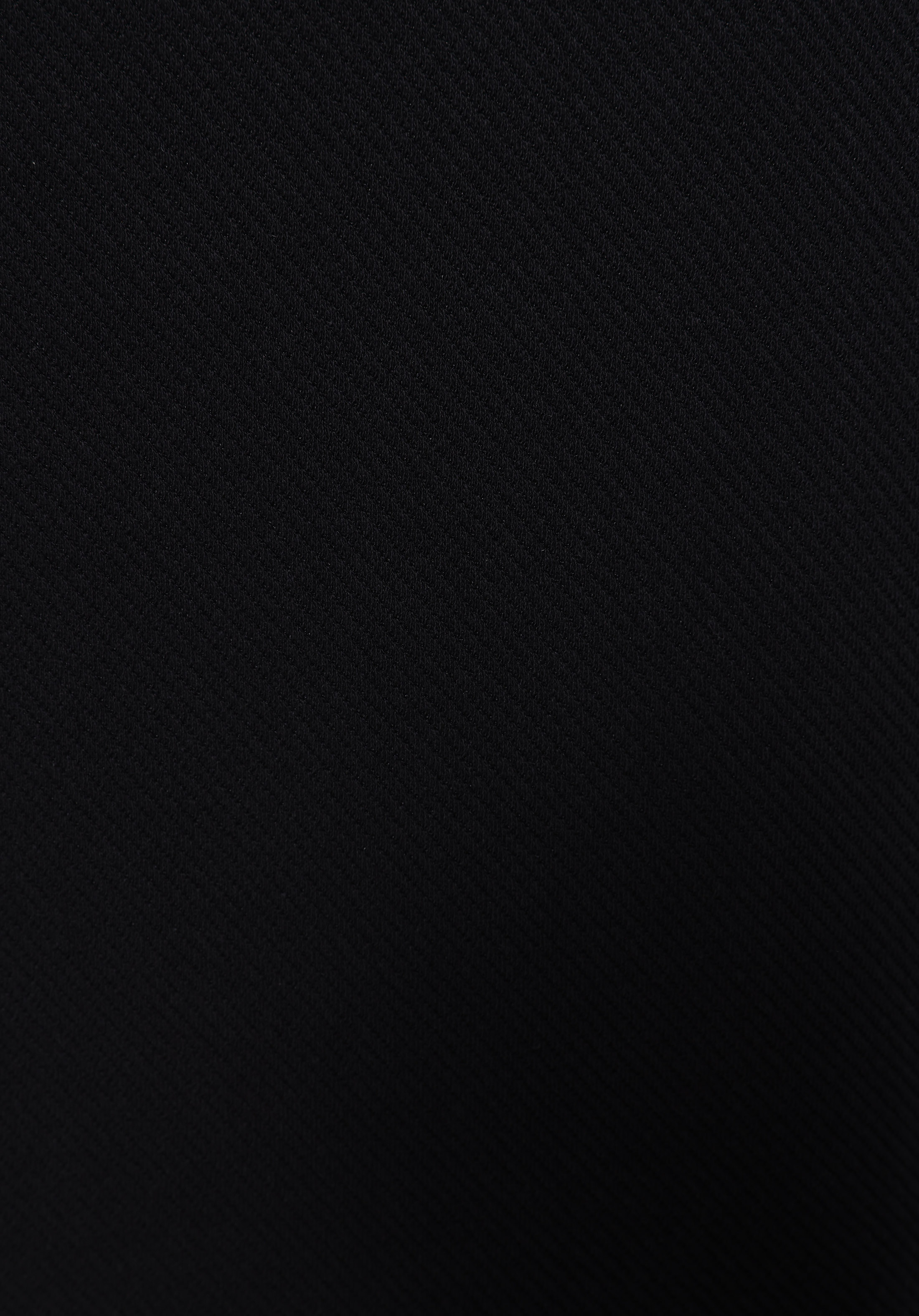 Regular Fit    Erkek Siyah Ceket