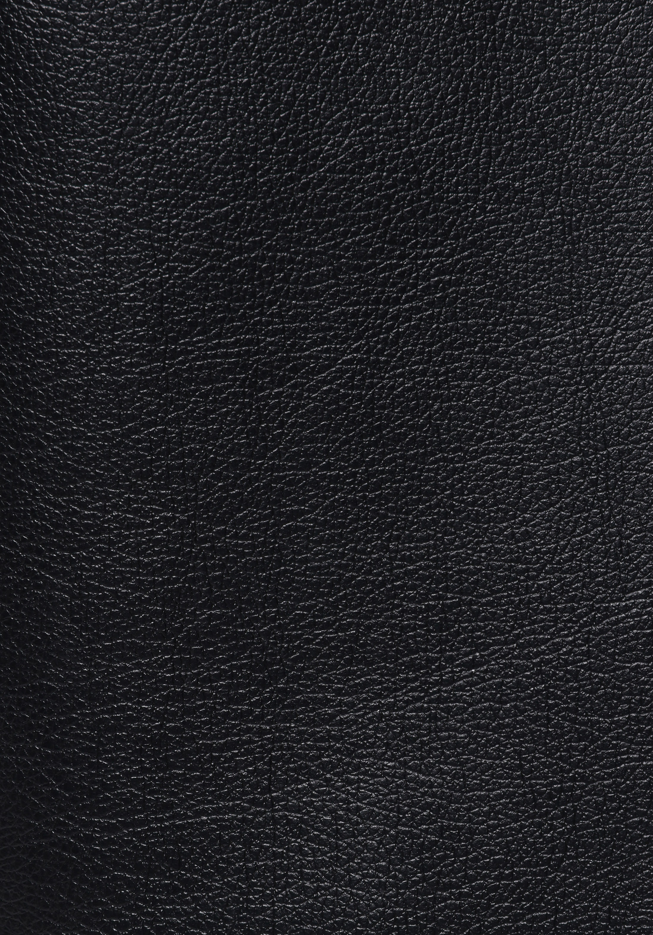 Slim Fit     Erkek Siyah Mont Pu