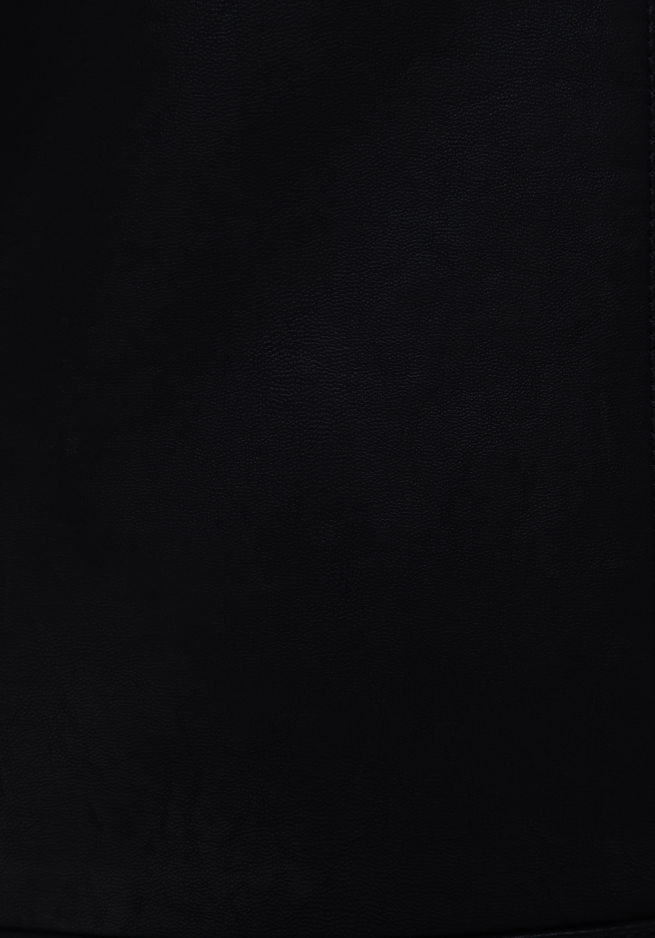 Slim Fit     Erkek Siyah Mont Pu