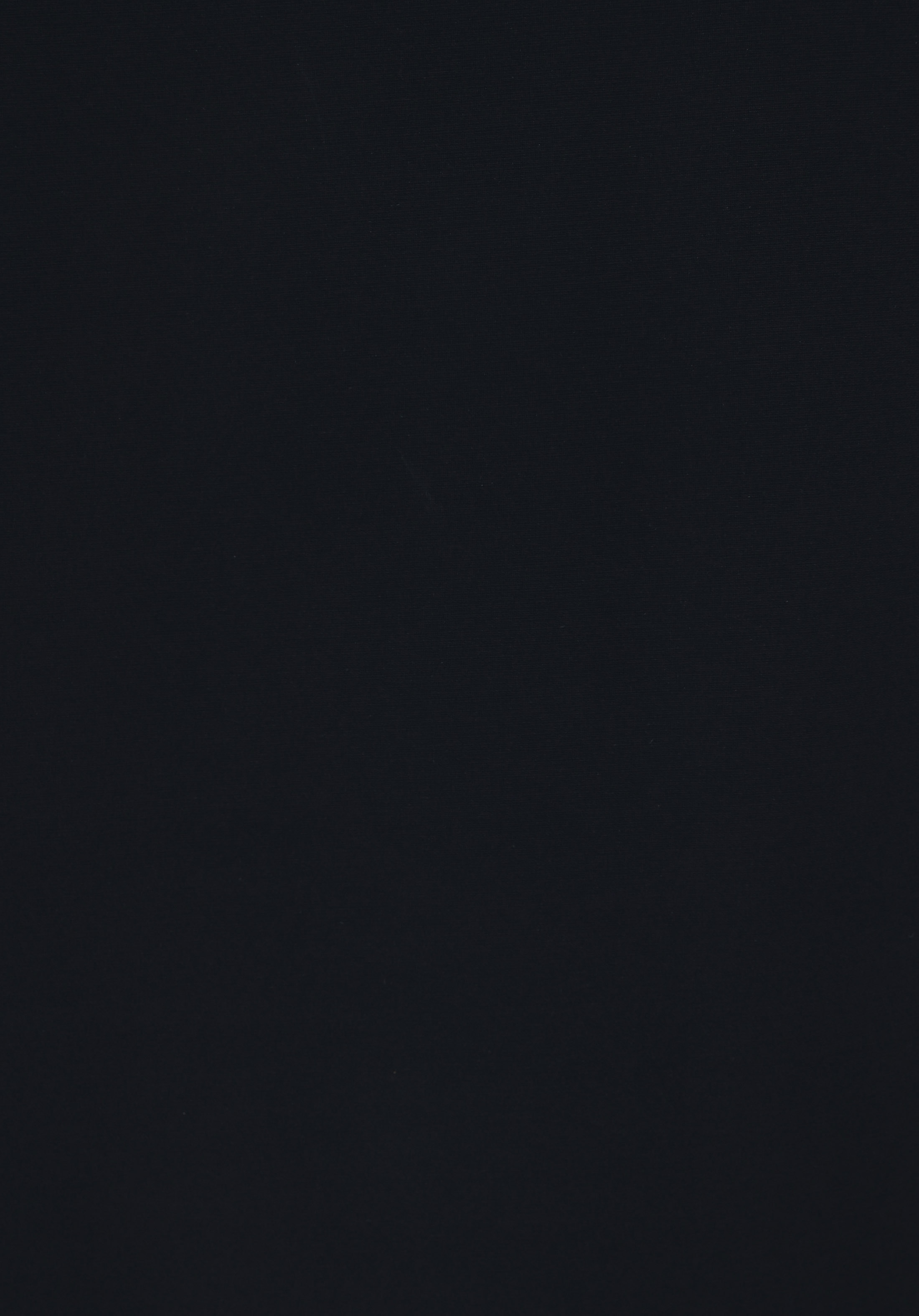 Regular Fit     Erkek Lacivert Mont