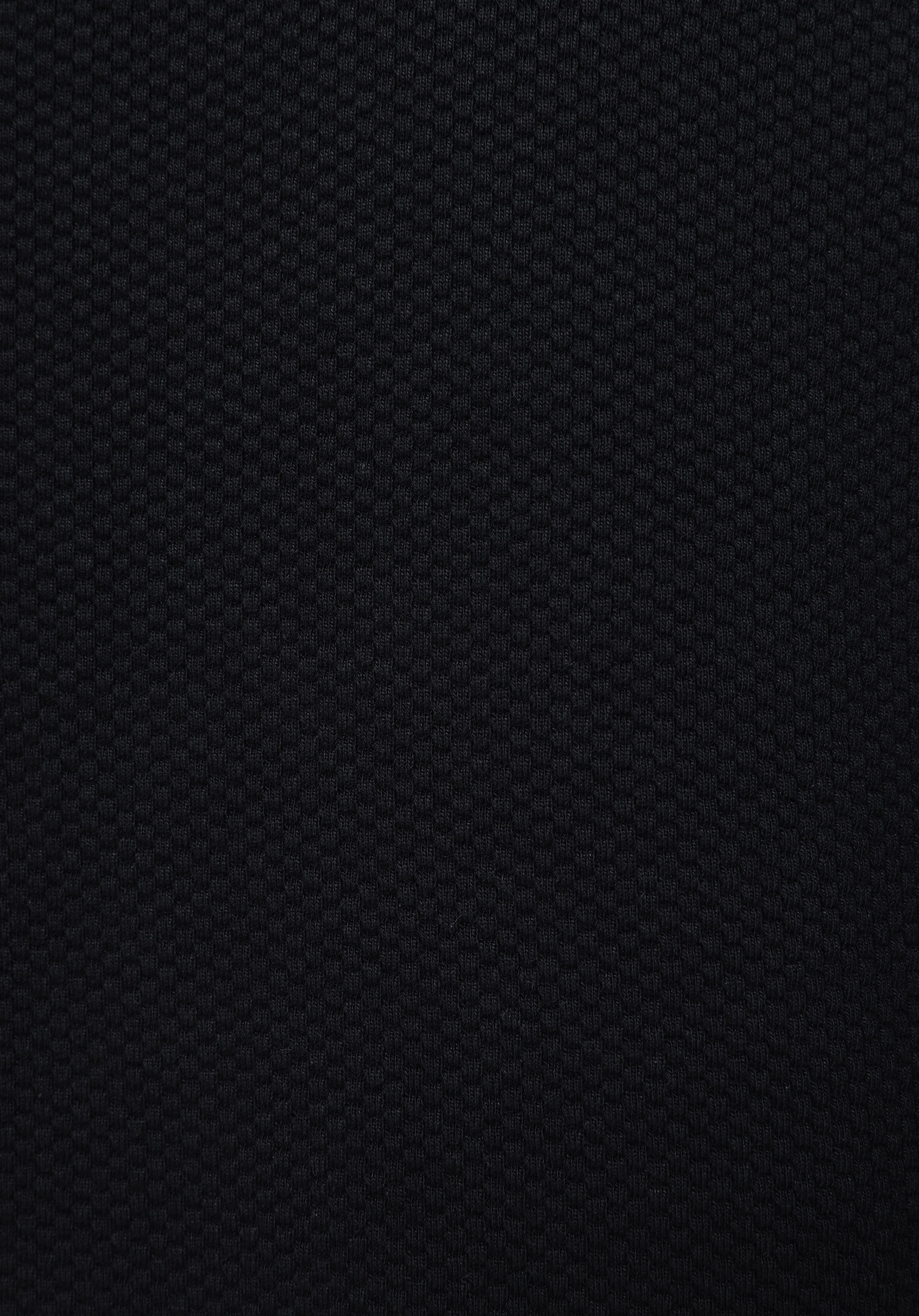 Regular Fit Yuvarlak Yaka Jakarlı Erkek Siyah Uzun Kol Tişört