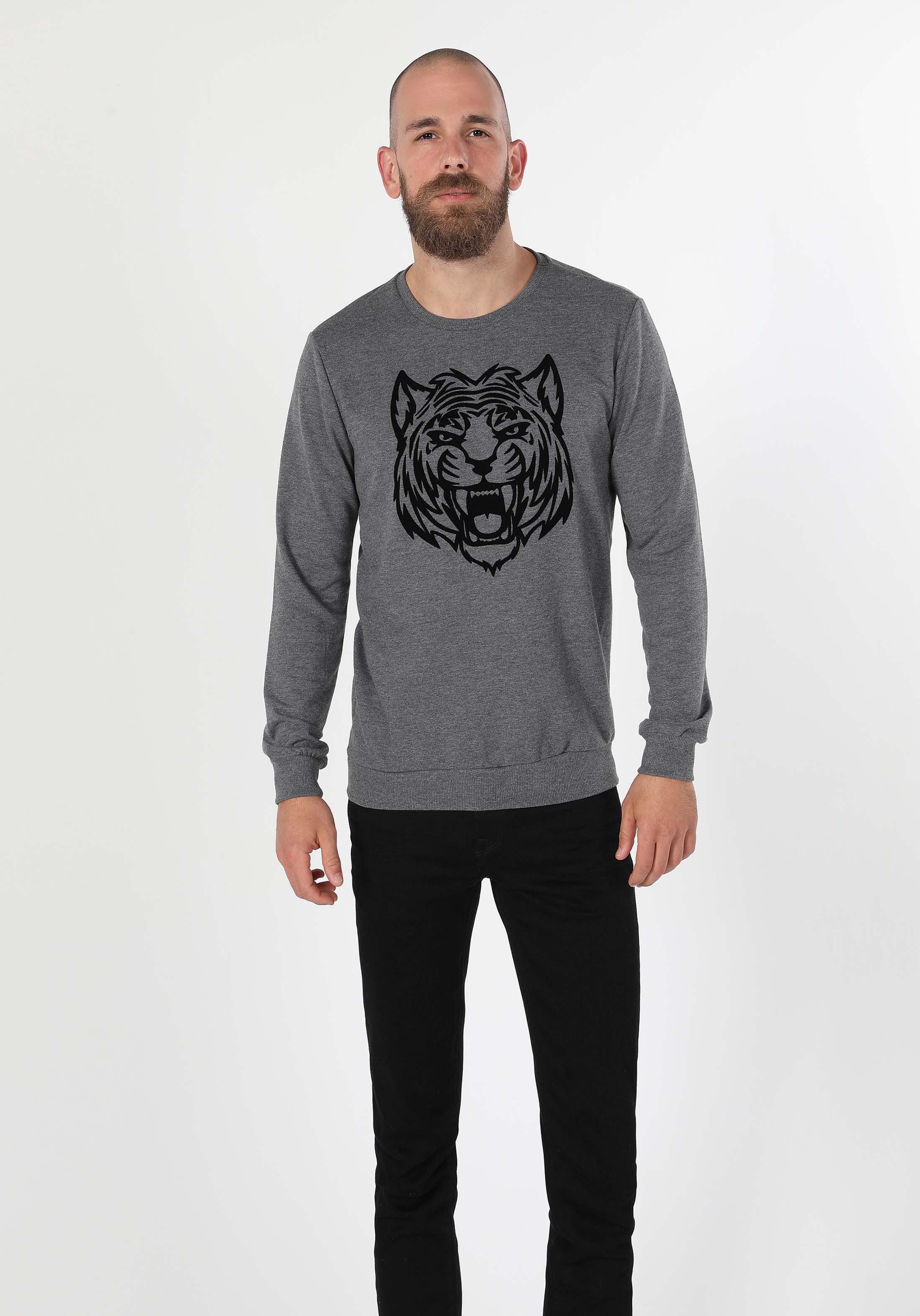 Regular Fit   Erkek Antrasit Sweatshirt
