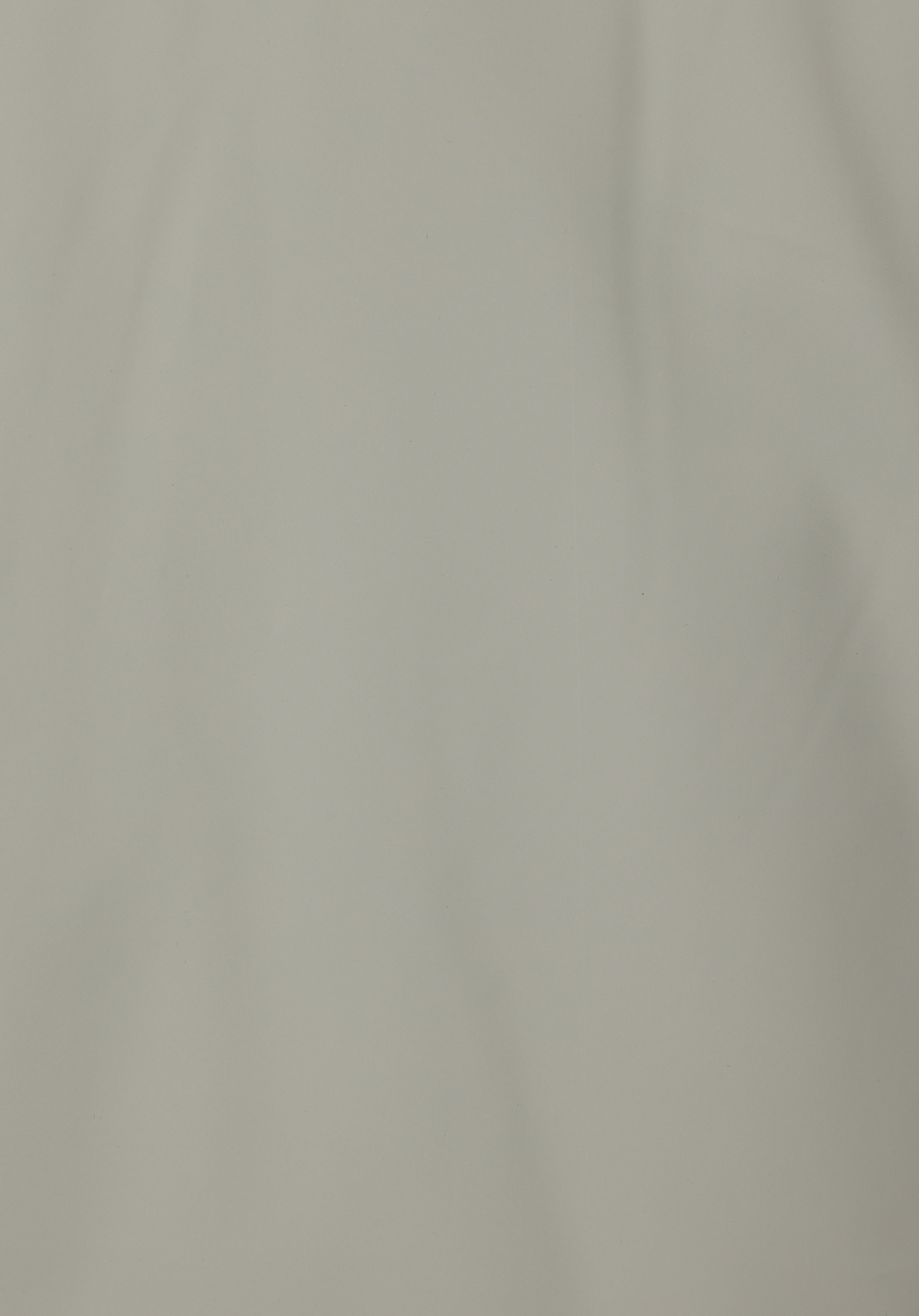 Regular Fit     Erkek Yeşil Mont