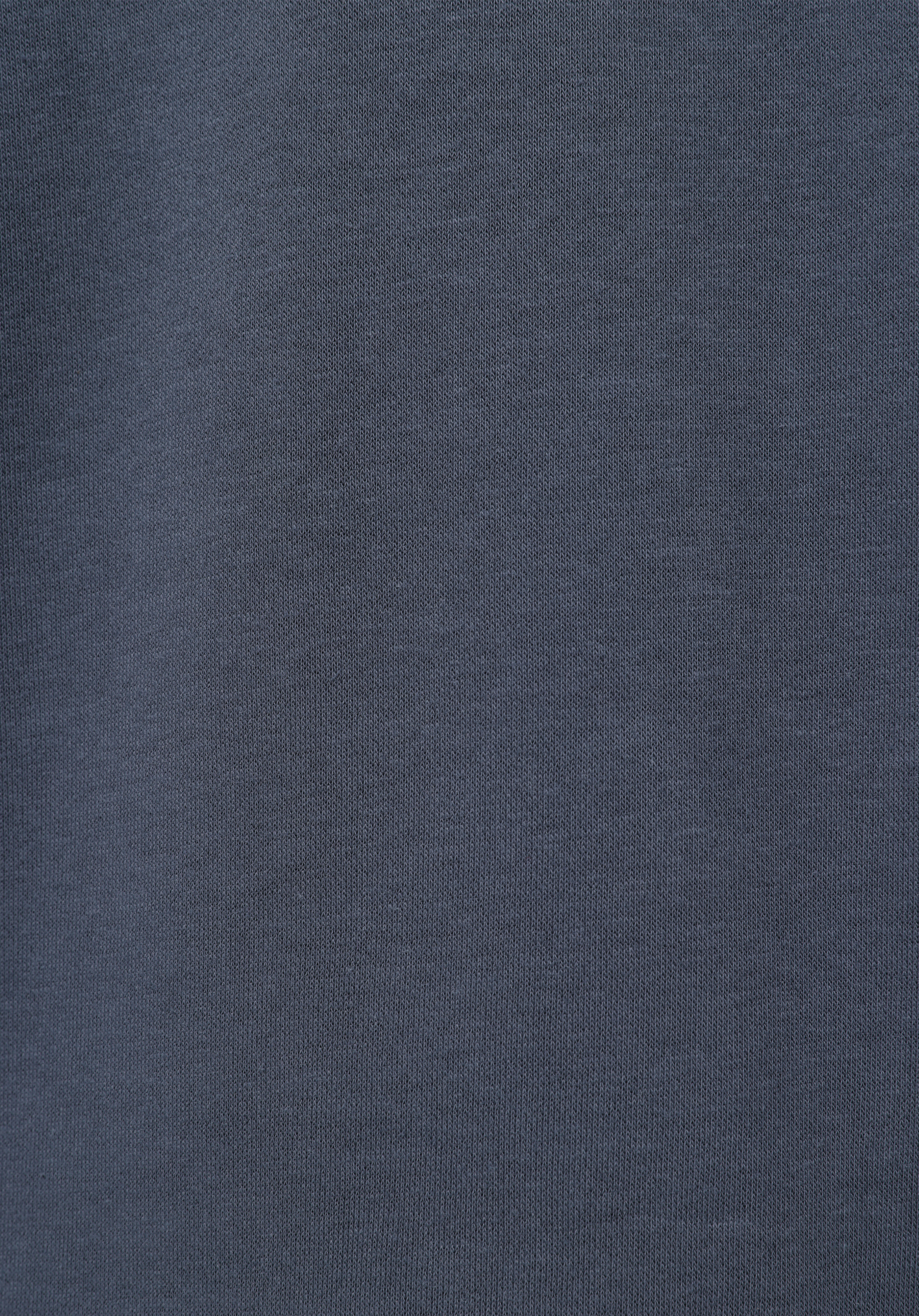 Comfort Fit   Erkek Mavi Sweatshirt