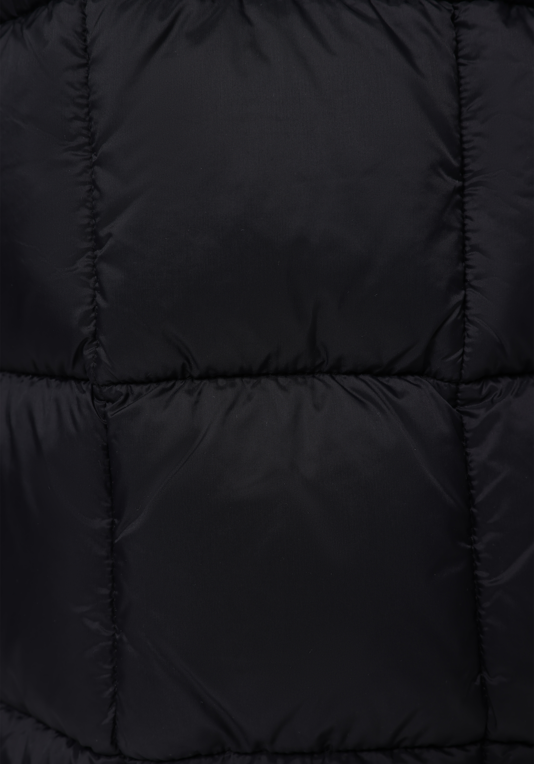 Slim Fit     Erkek Siyah Mont