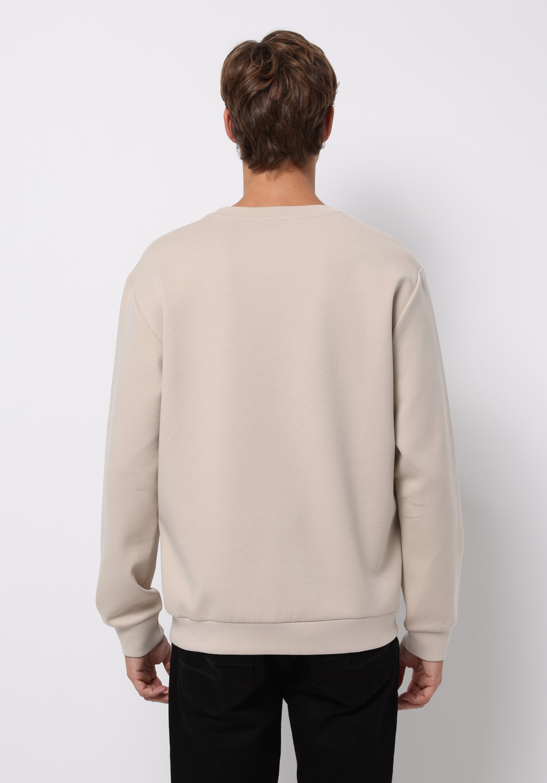 Regular Fit   Erkek Bej Sweatshirt