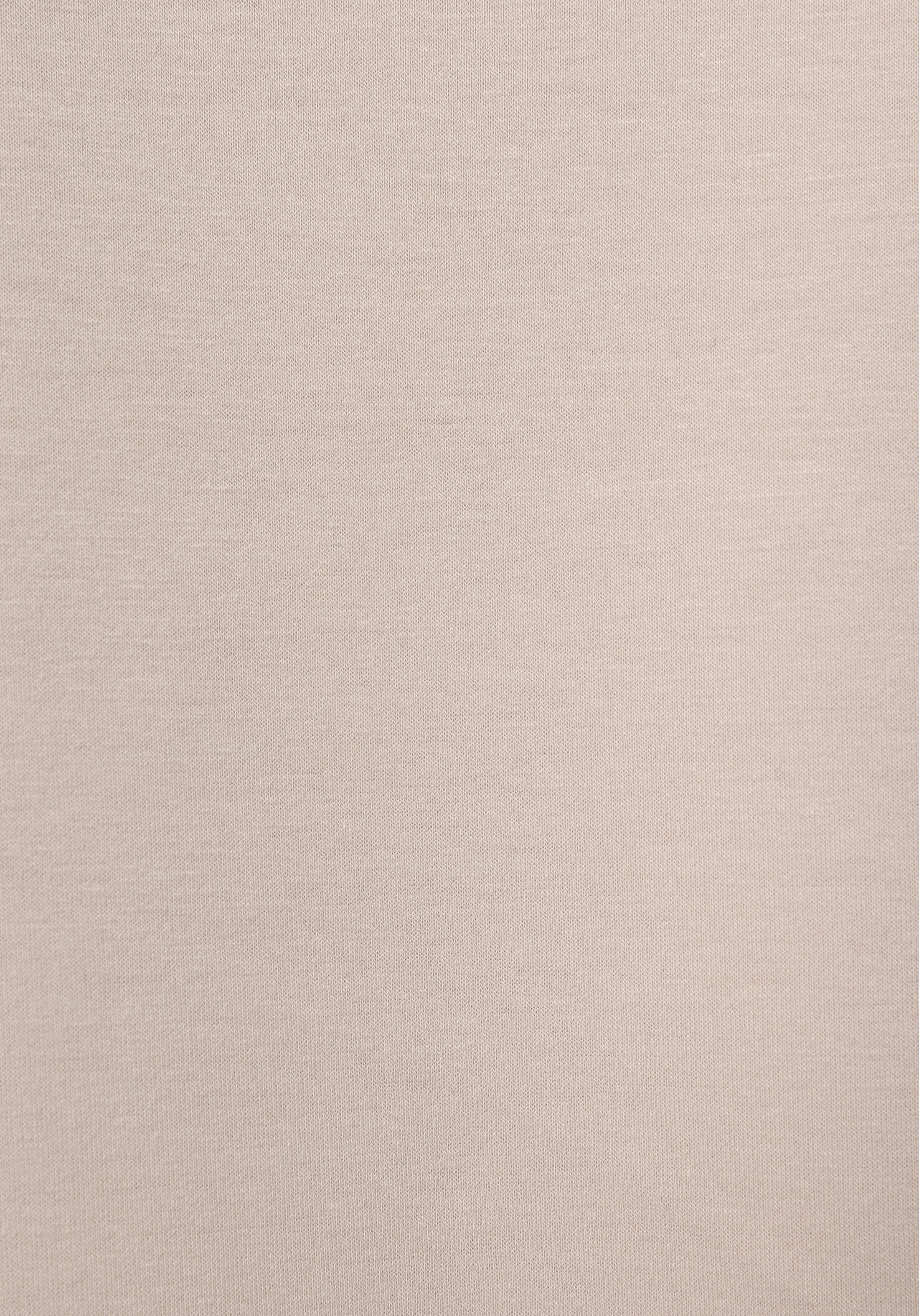 Regular Fit   Erkek Bej Sweatshirt