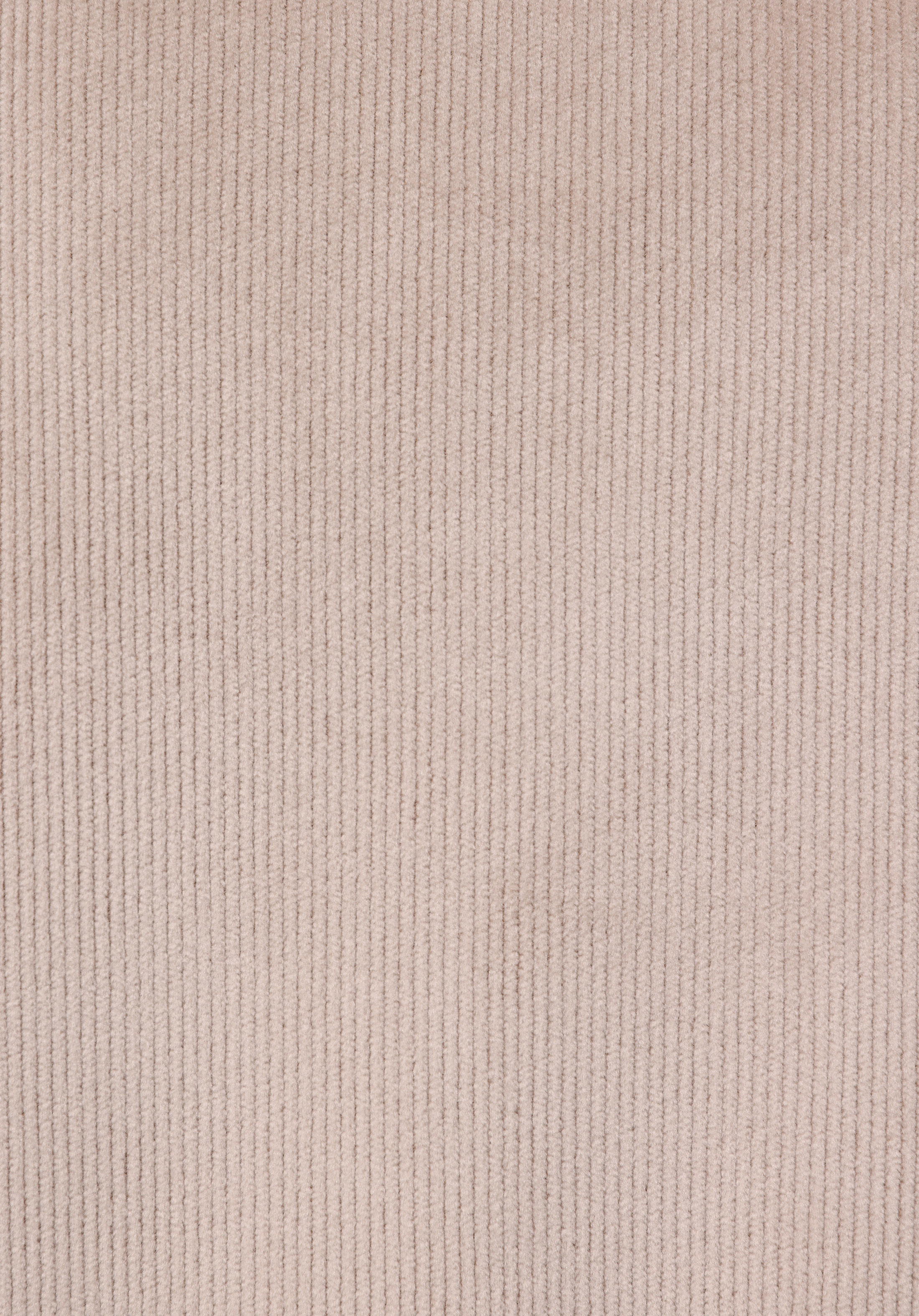 Regular Fit Polo Yaka Kadın Sweatshirt