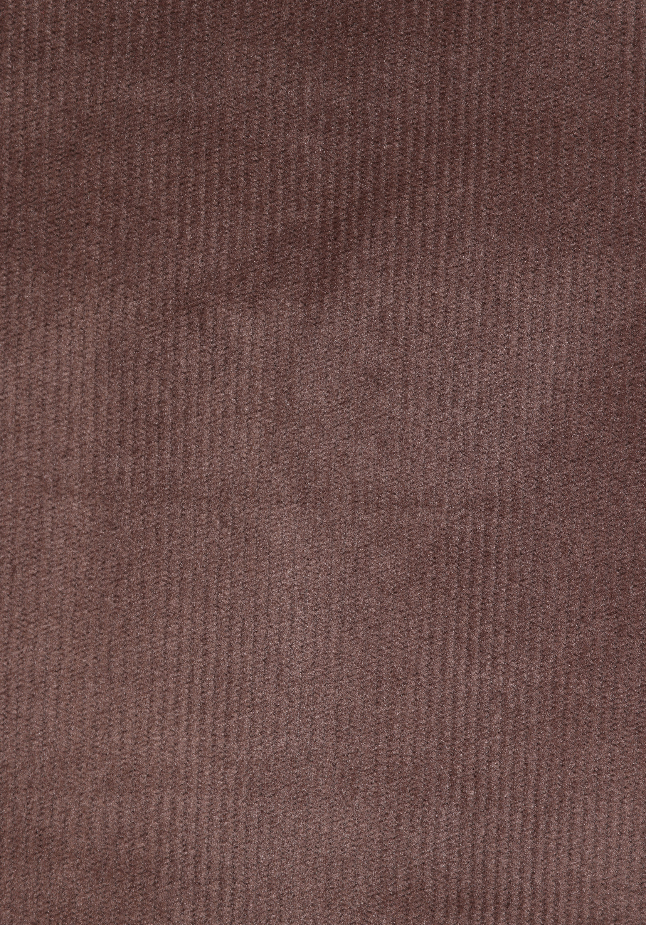 Regular Fit Polo Yaka Nakışlı Kadın Kahverengi Sweatshirt