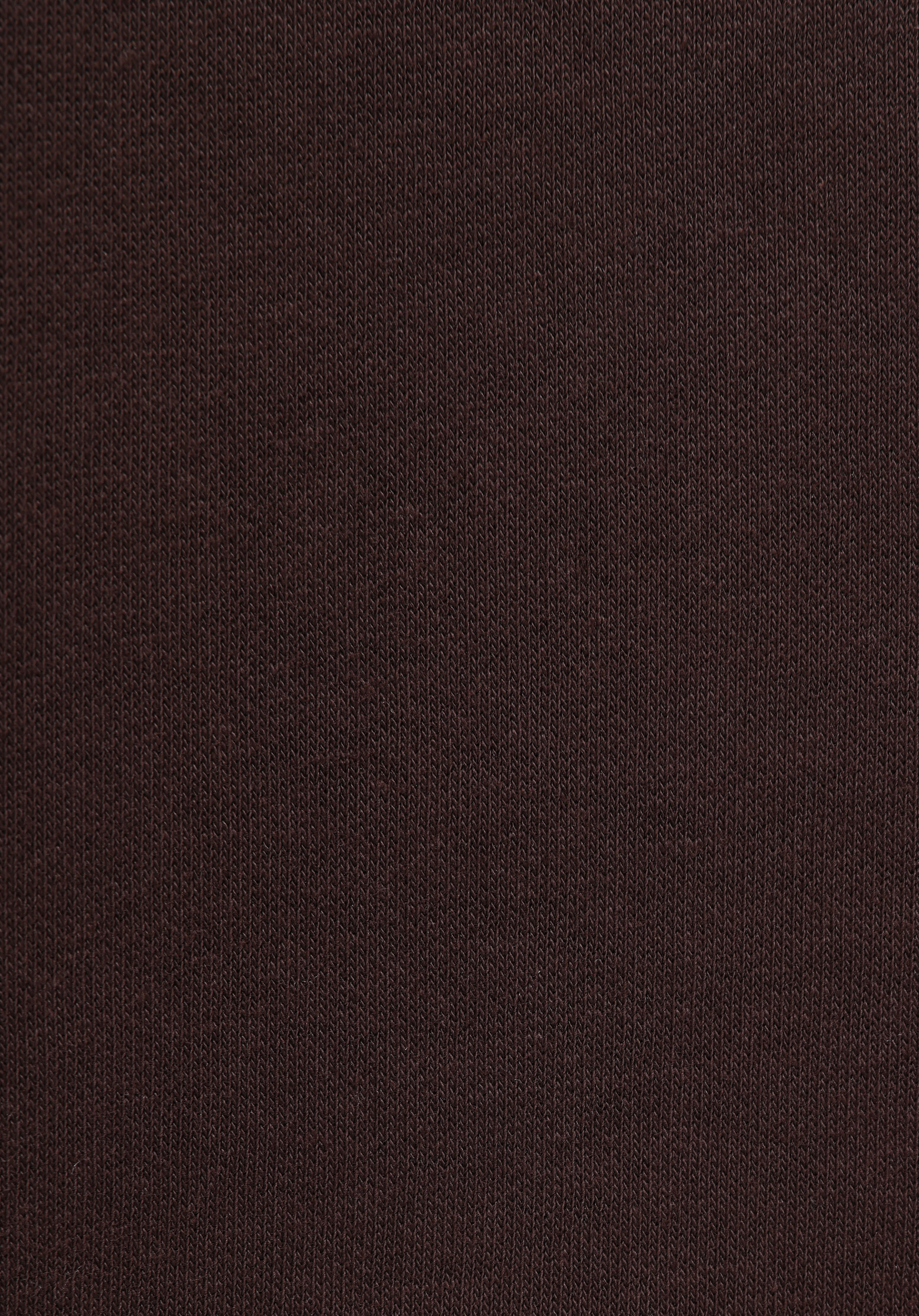 Regular Fit Kapüşonlu Nakışlı Kadın Kahverengi Sweatshirt