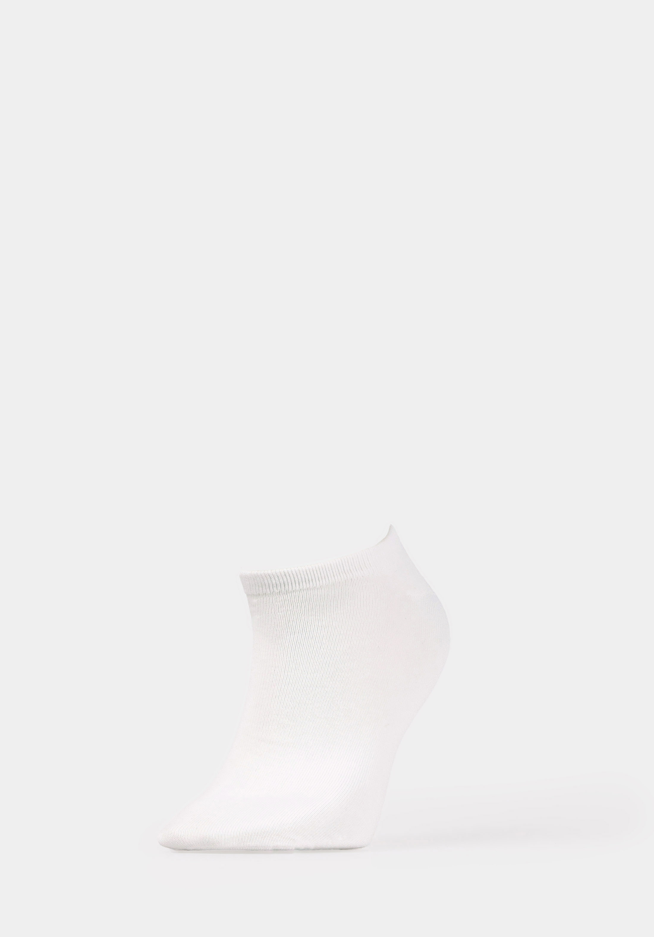 Erkek Çok Renkli Çorap