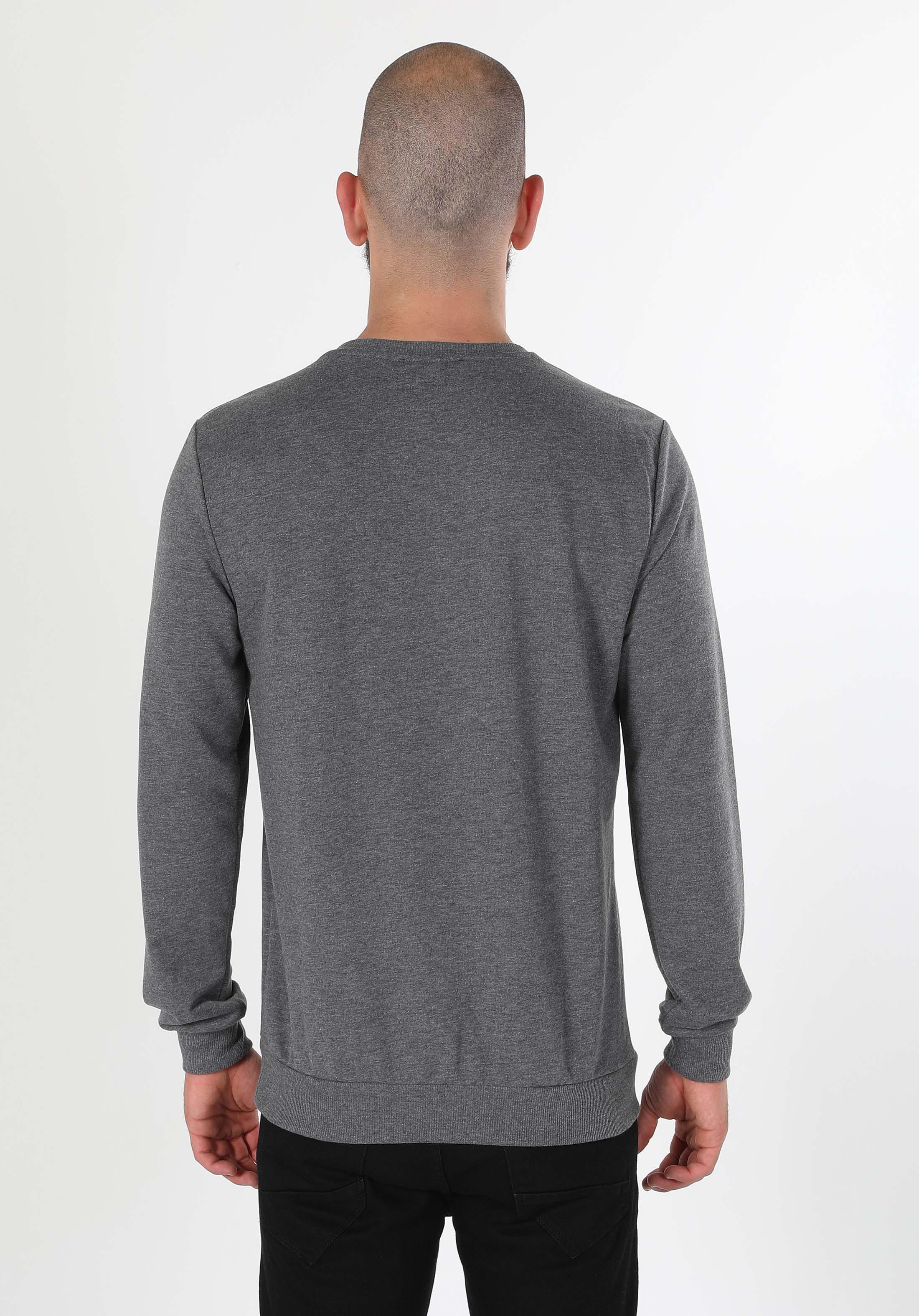 Regular Fit   Erkek Antrasit Sweatshirt