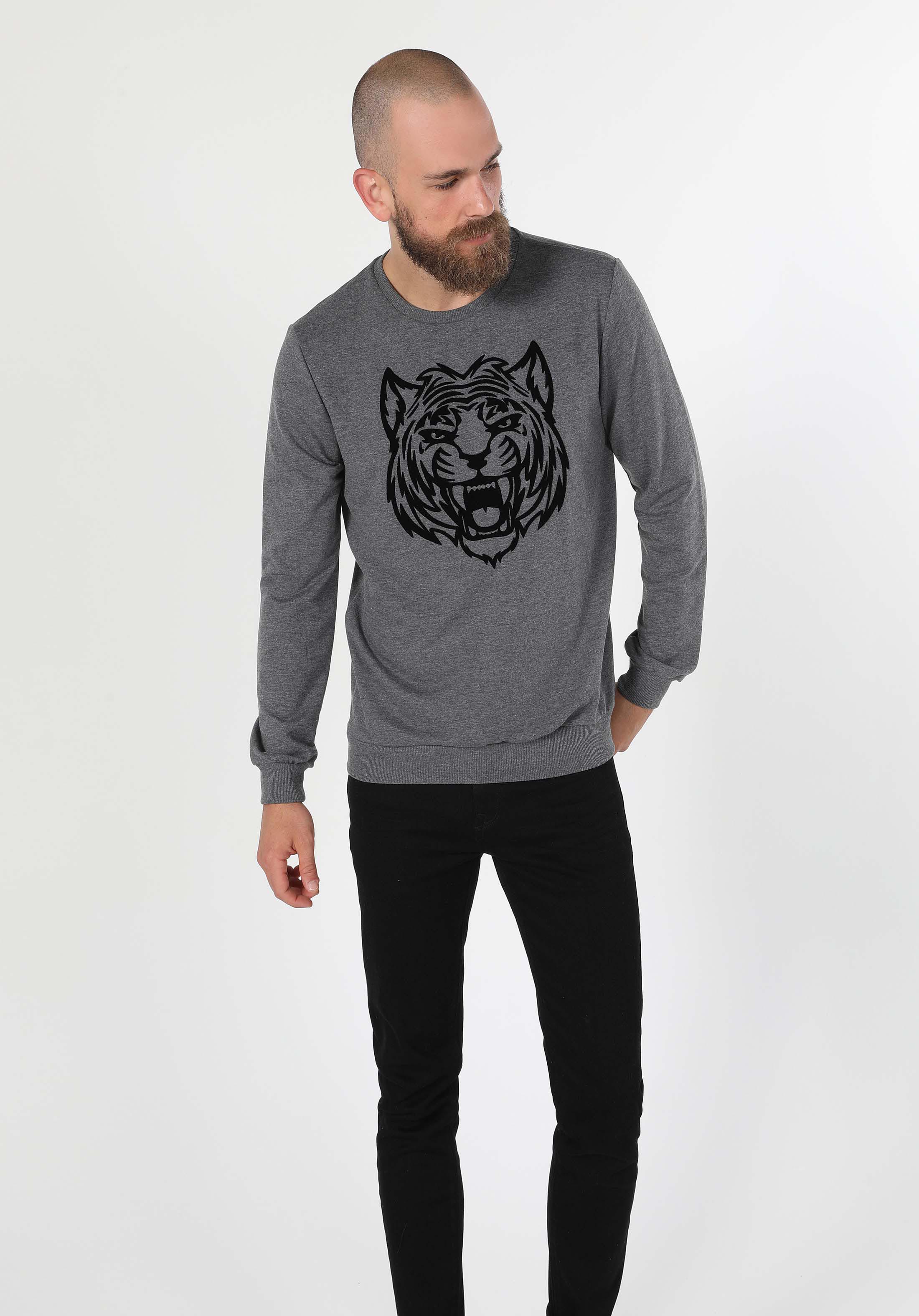 Regular Fit   Erkek Antrasit Sweatshirt