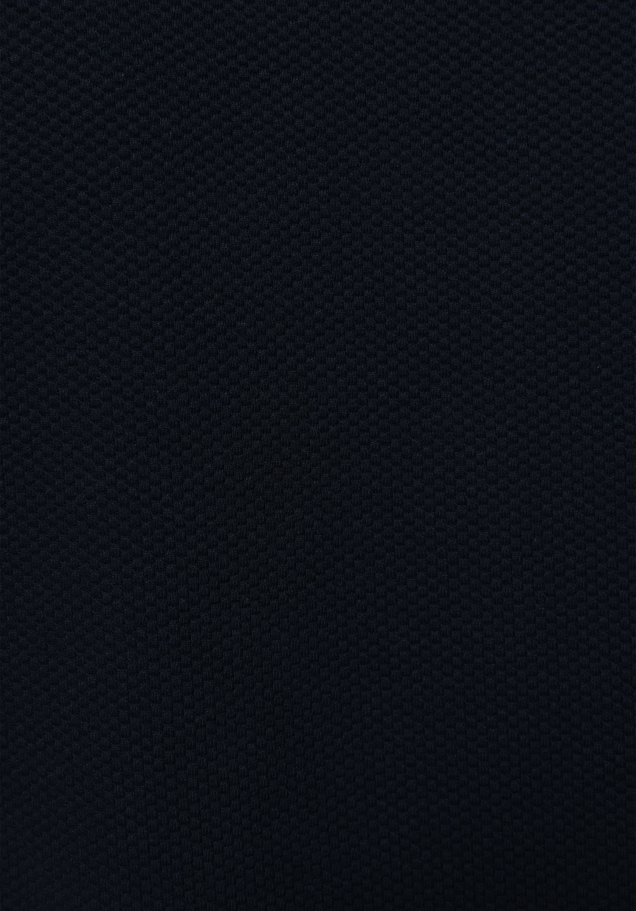 Regular Fit Yuvarlak Yaka Jakarlı Erkek Lacivert Uzun Kol Tişört