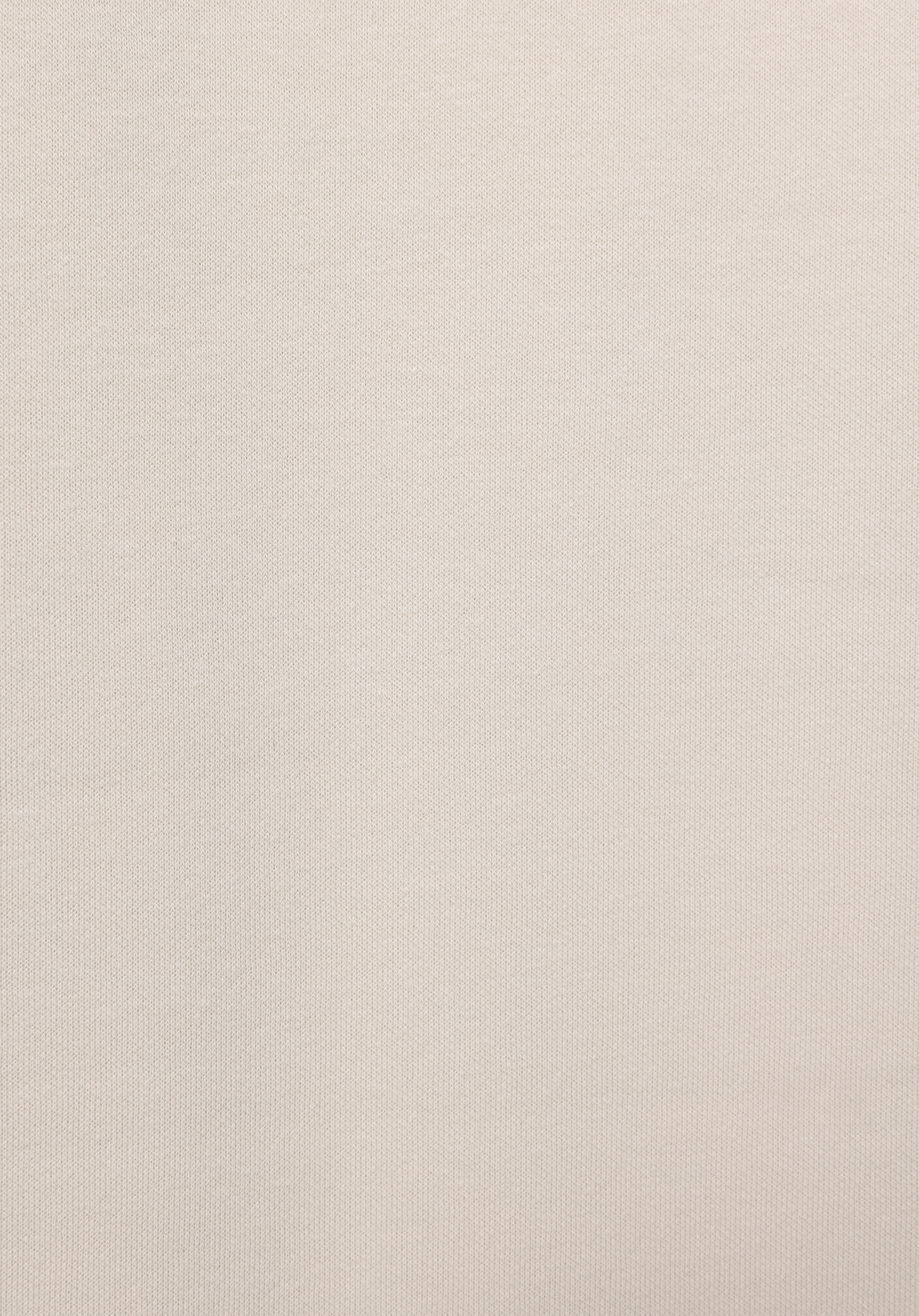 Comfort Fit   Erkek Taş Sweatshirt