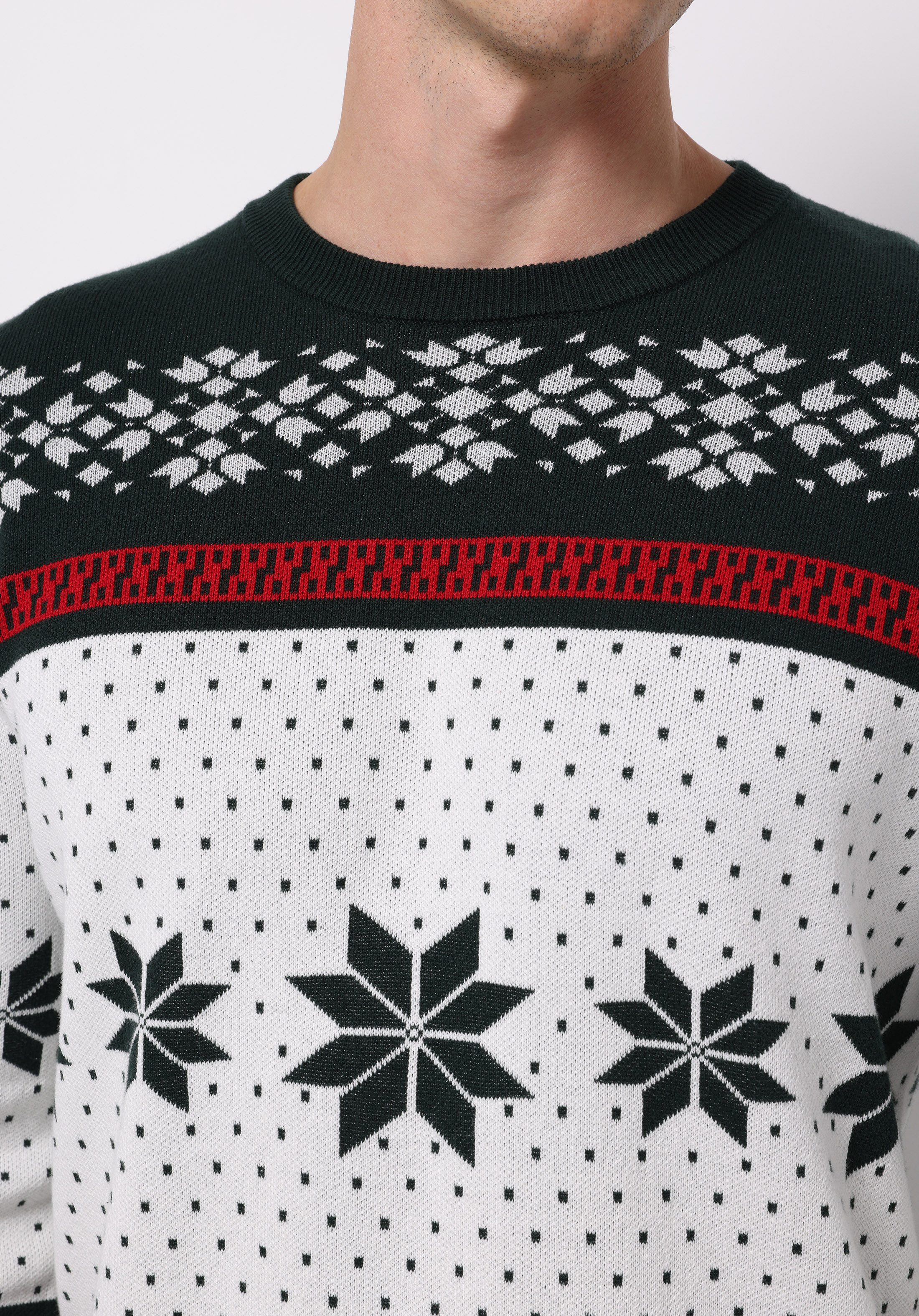 Regular Fit Yuvarlak Yaka Jakarlı Erkek Yeşil Kazak