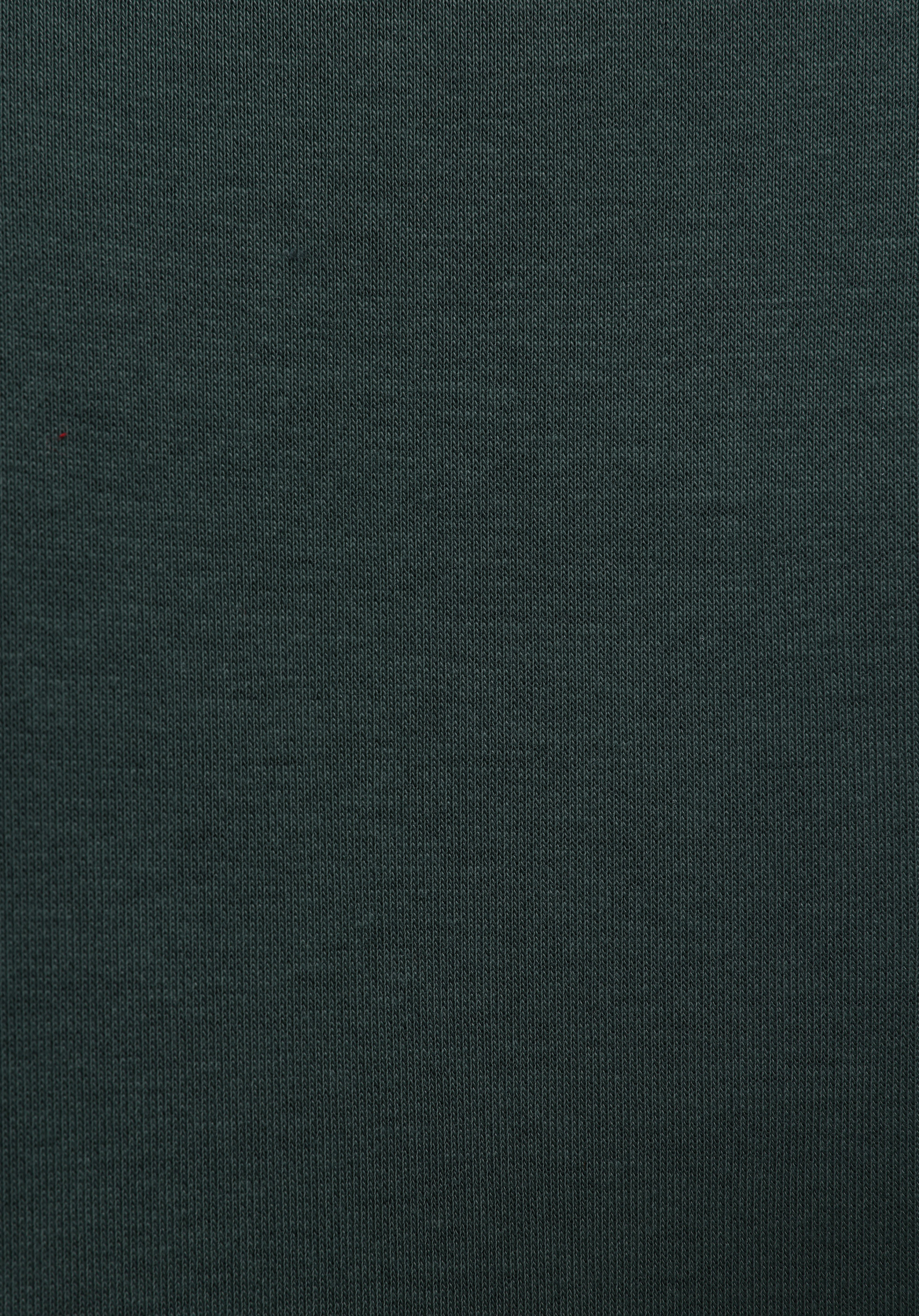 Comfort Fit   Erkek Yeşil Sweatshirt