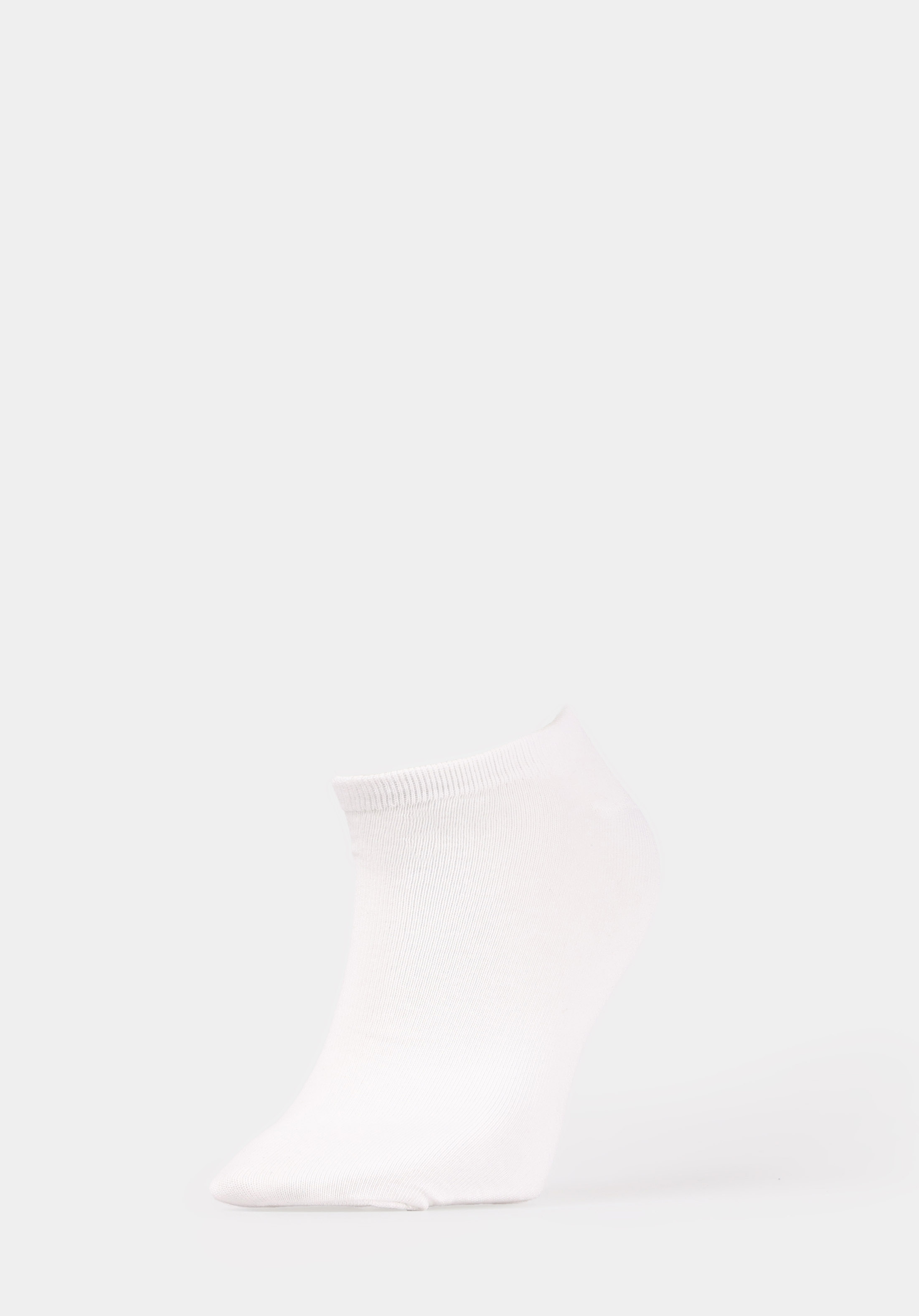 Erkek Çok Renkli Çorap