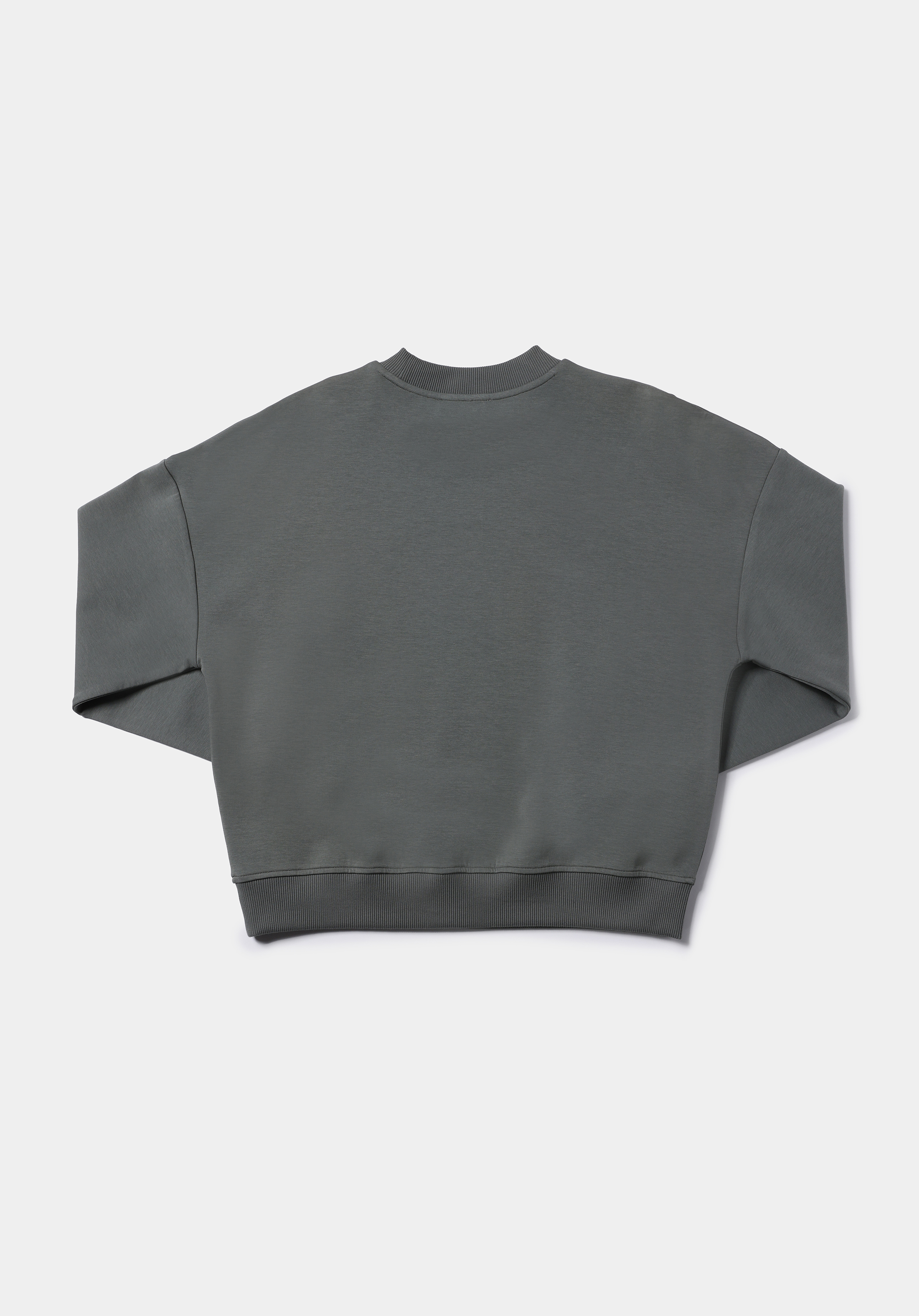 Regular Fit Yuvarlak Yaka Nakışlı Kadın Yeşil Sweatshirt