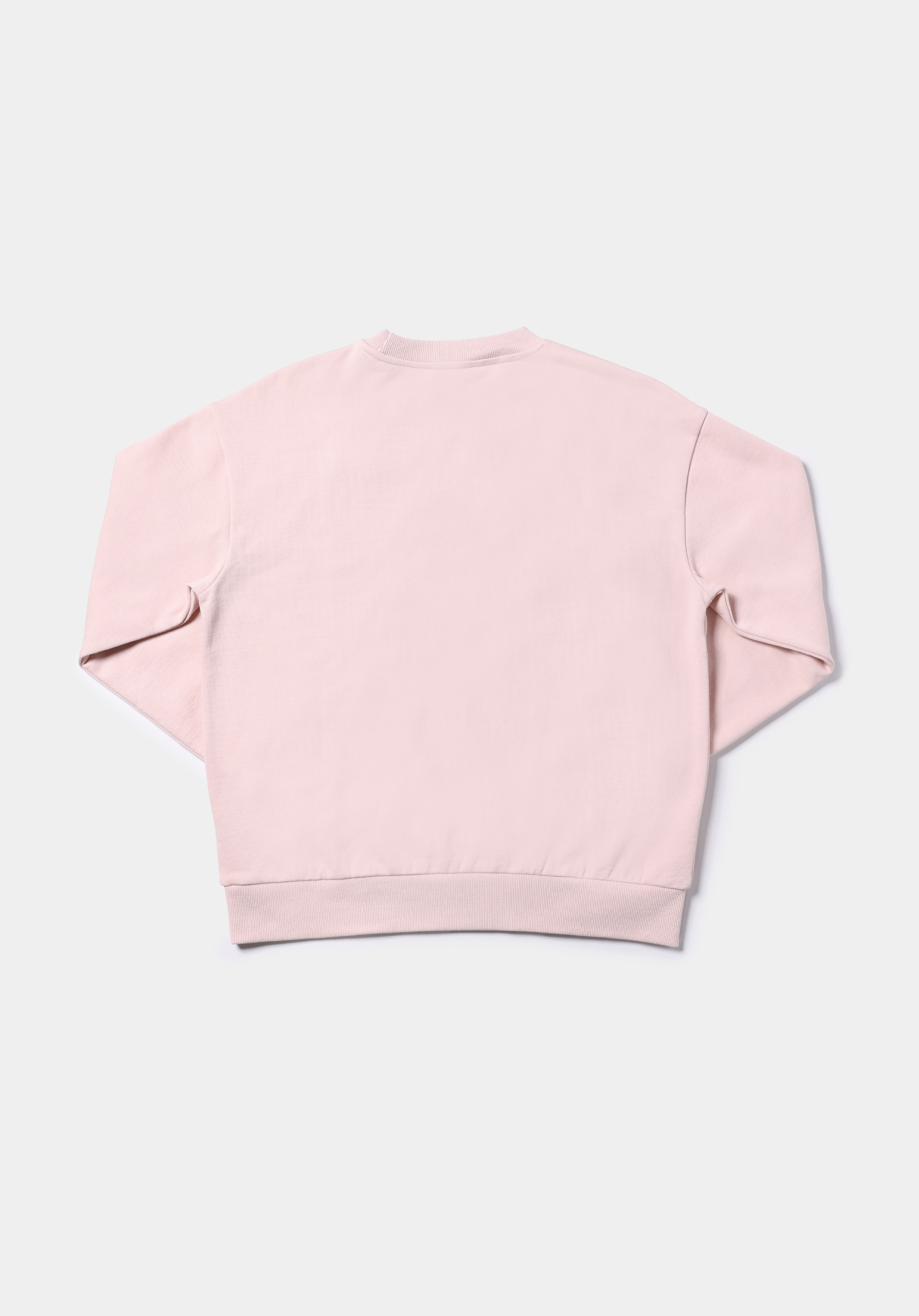 Regular Fit Yuvarlak Yaka Düz Kadın Pembe Sweatshirt
