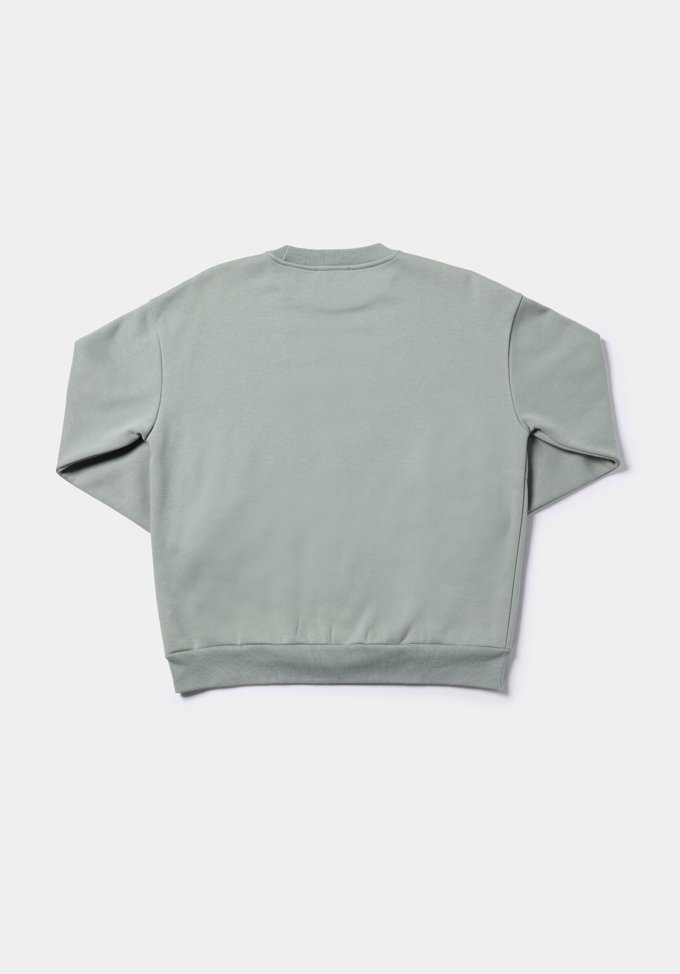 Regular Fit Yuvarlak Yaka Baskılı Kadın Yeşil Sweatshirt