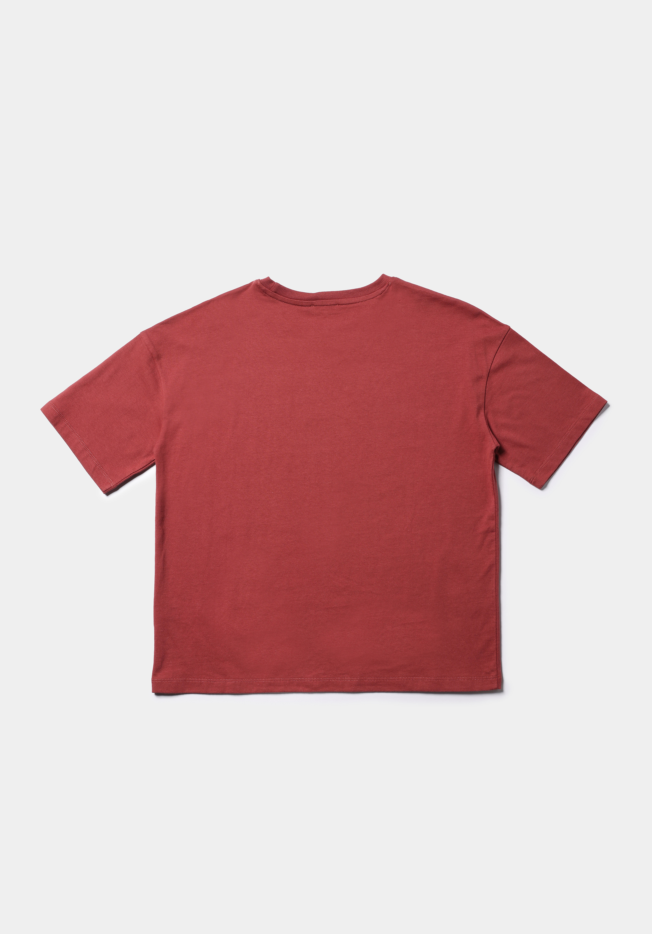 Regular Fit Yuvarlak Yaka Nakışlı Kadın Turuncu Kısa Kol Tişört