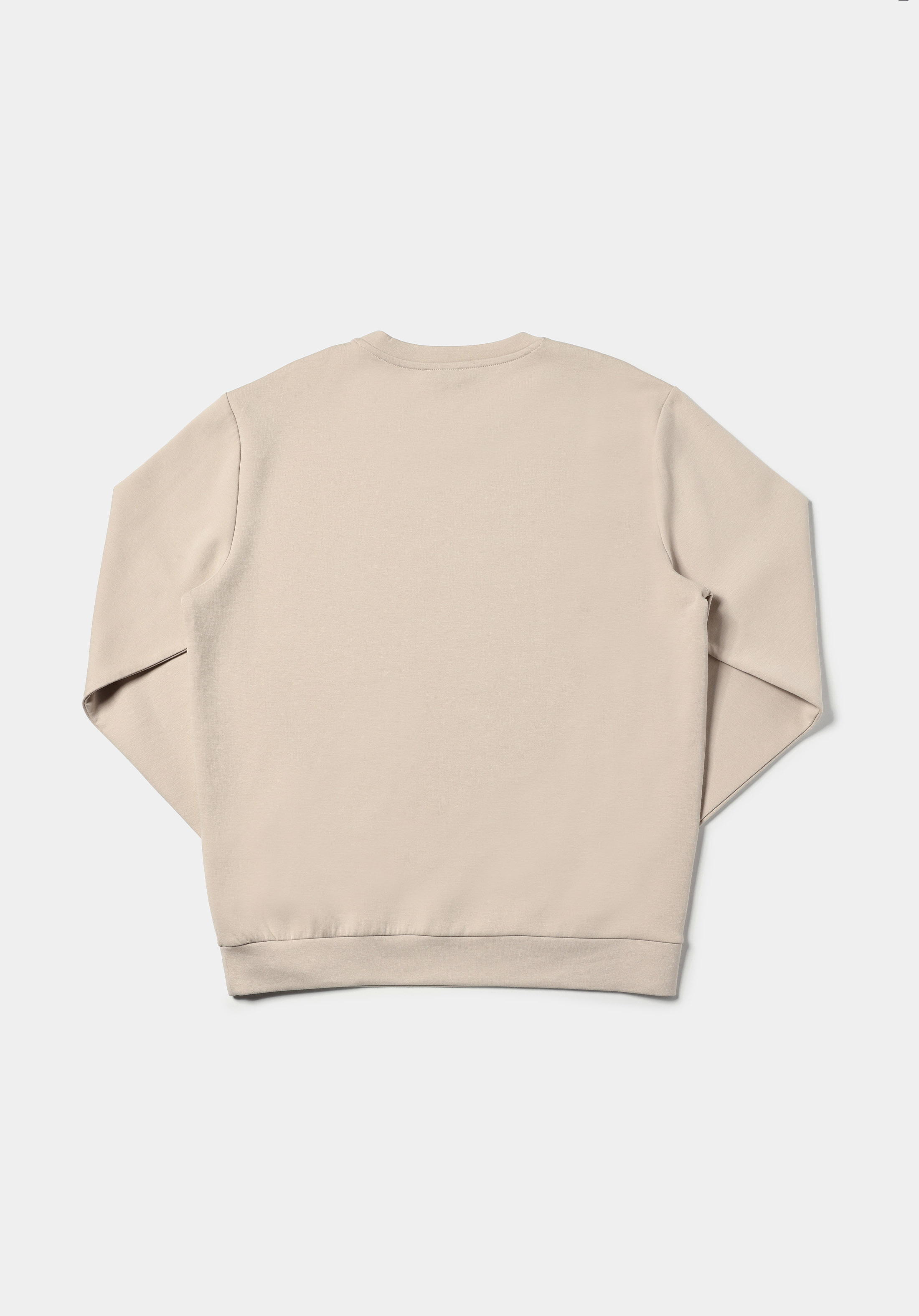 Regular Fit   Erkek Bej Sweatshirt
