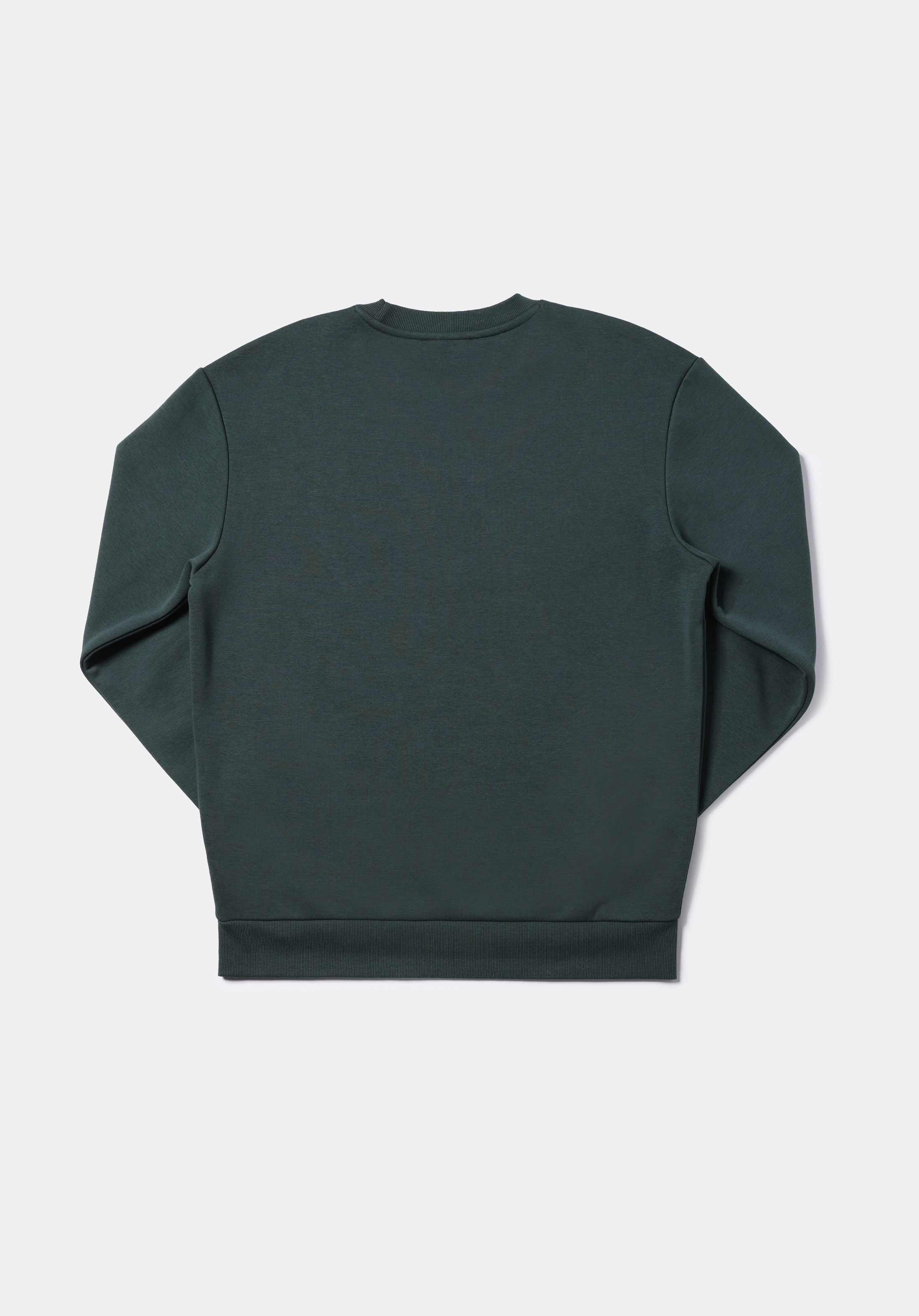Comfort Fit   Erkek Yeşil Sweatshirt