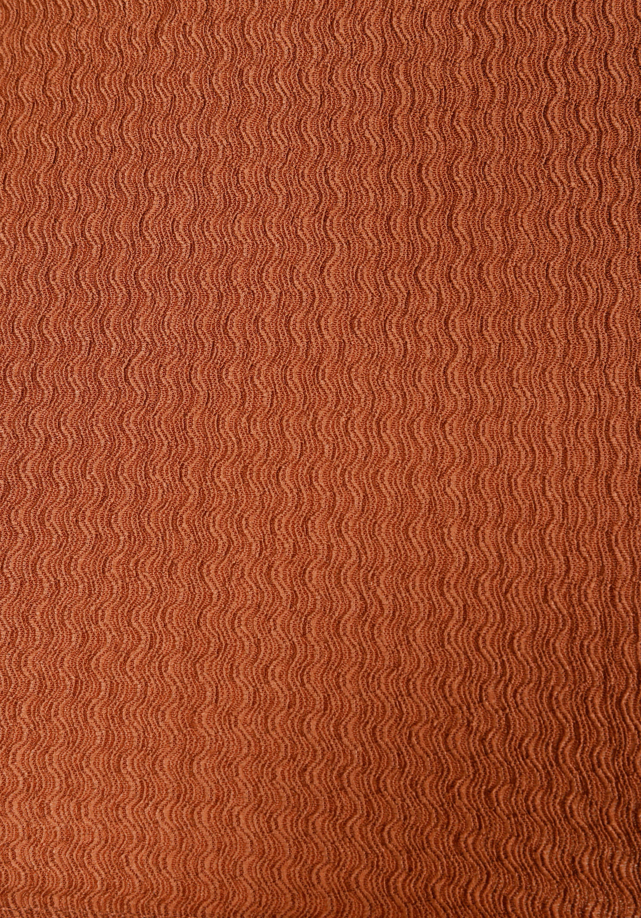 Regular Fit Orta Bel Jakarlı Kadın Kahverengi Şort