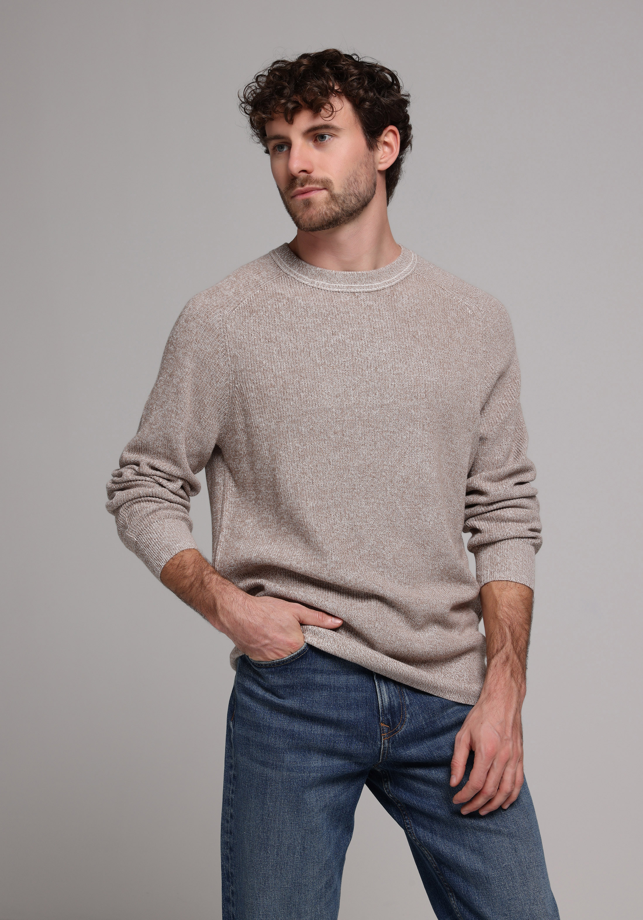 Regular Fit Yuvarlak Yaka Jakarlı Erkek Gri Kazak