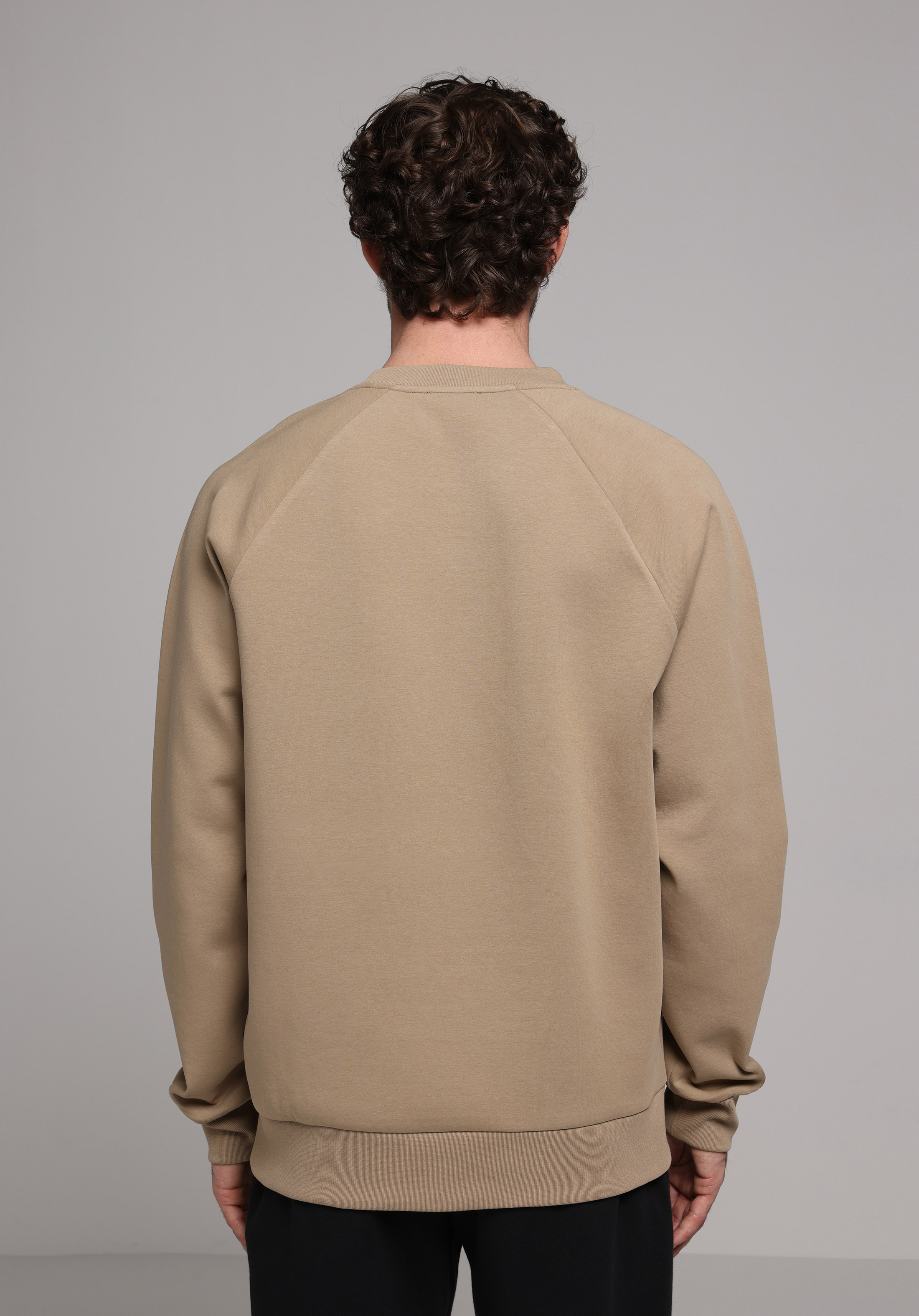 Regular Fit   Erkek Bej Sweatshirt