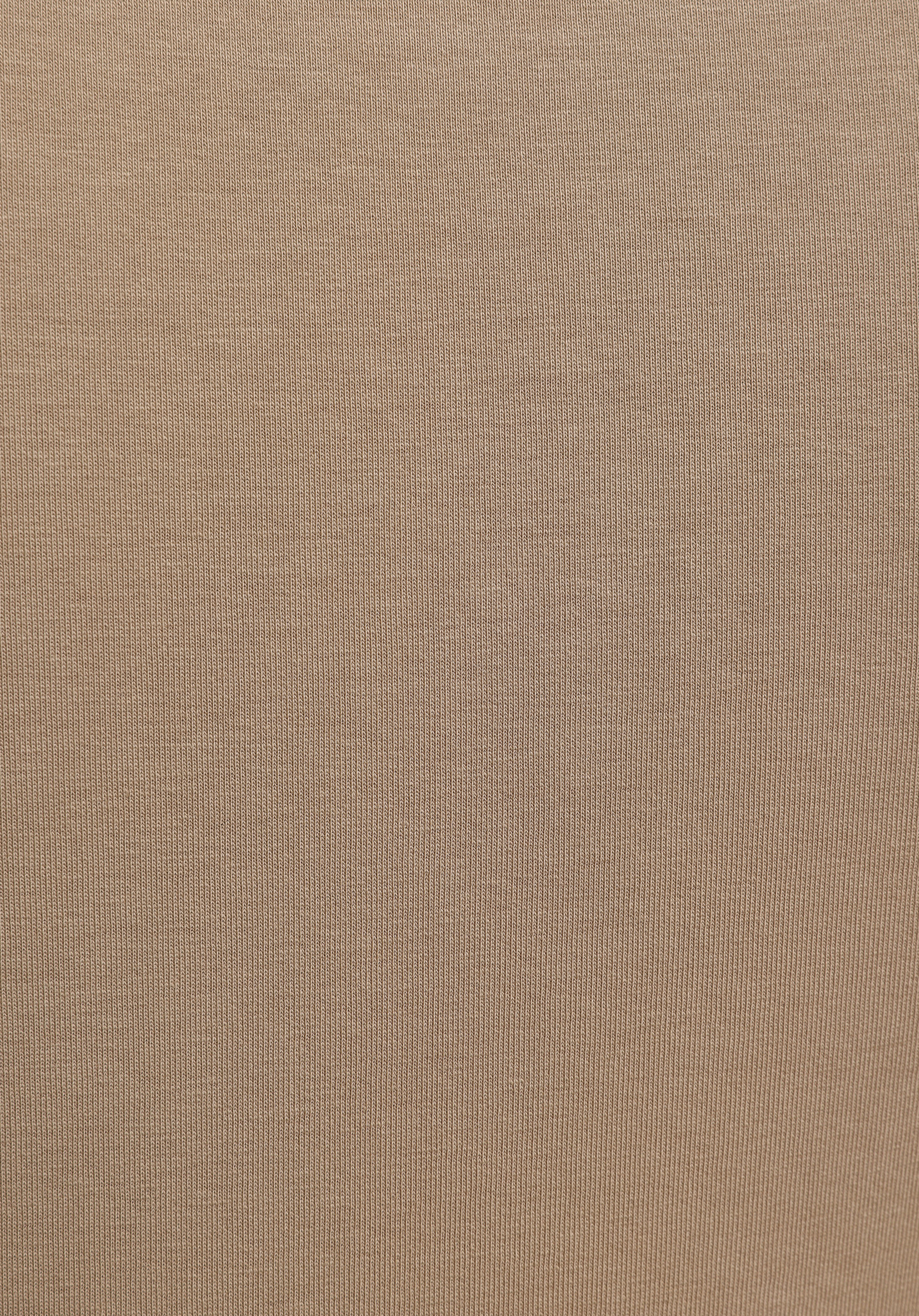 Regular Fit   Erkek Bej Sweatshirt