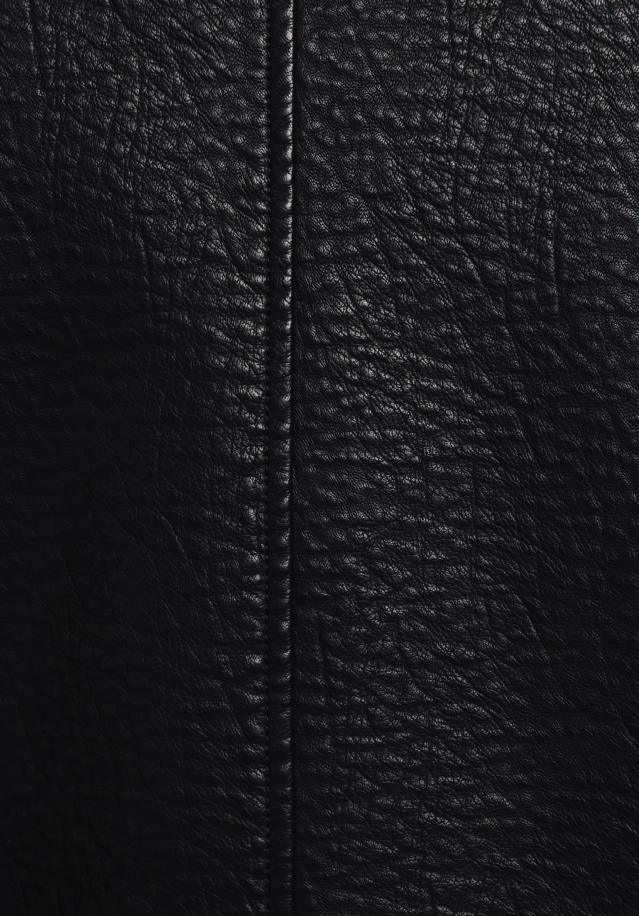 Regular Fit     Erkek Siyah Mont Pu