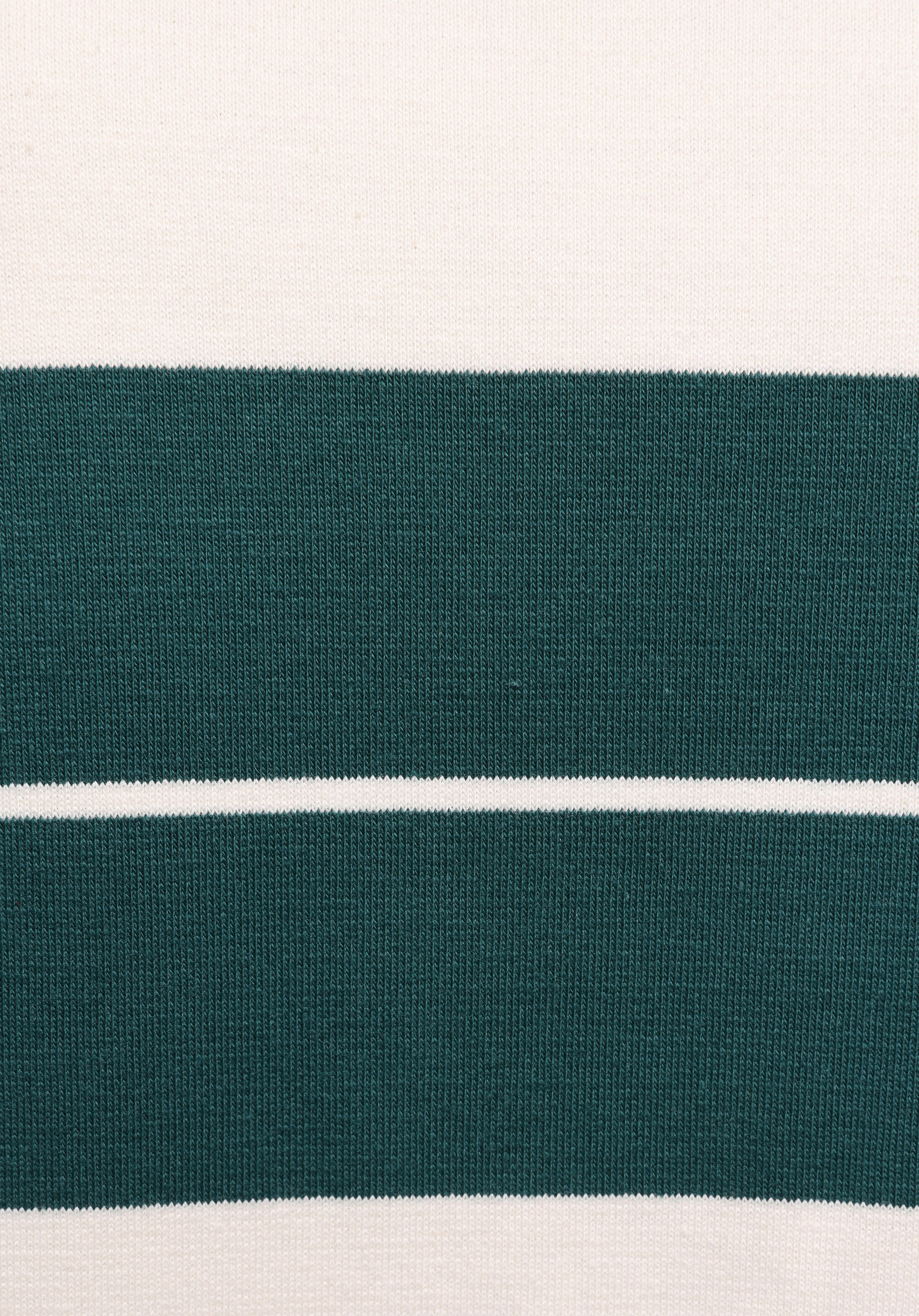 Regular Fit Polo Yaka Çizgili Kadın Yeşil Uzun Kol Tişört