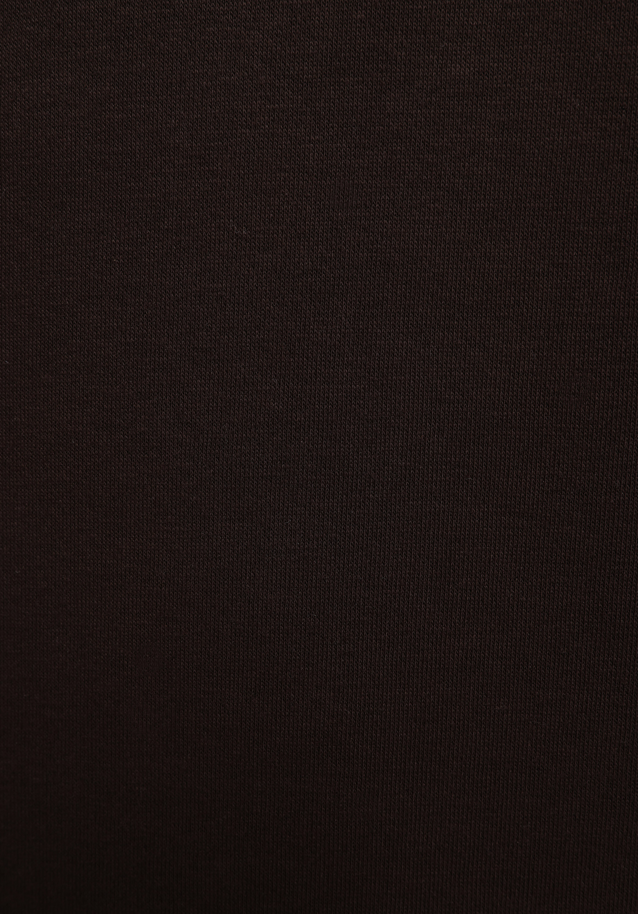 Comfort Fit   Erkek Kahverengi Sweatshirt