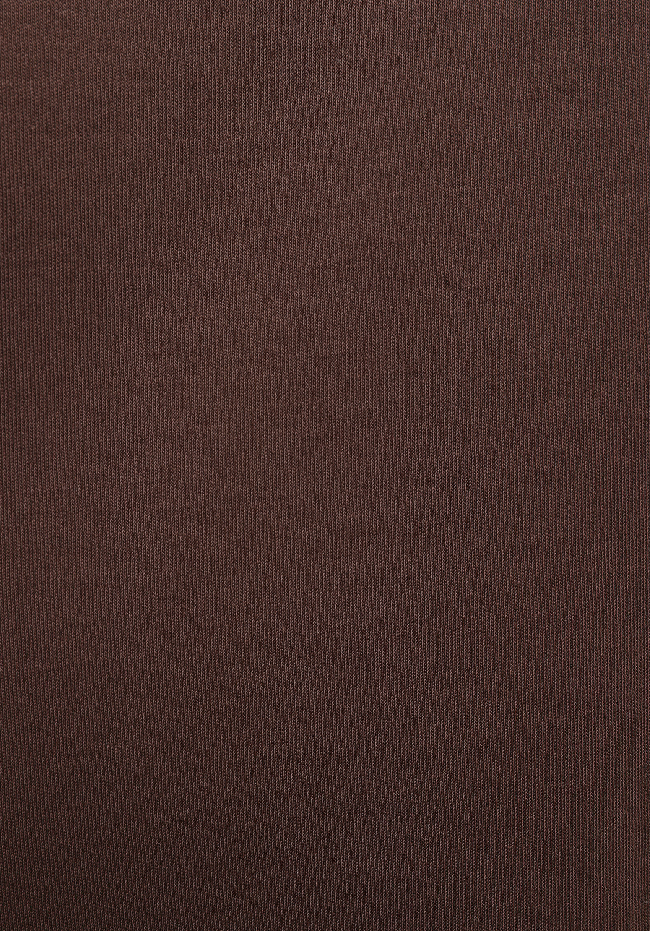 Regular Fit Yuvarlak Yaka Düz Erkek Kahverengi Kısa Kol Tişört