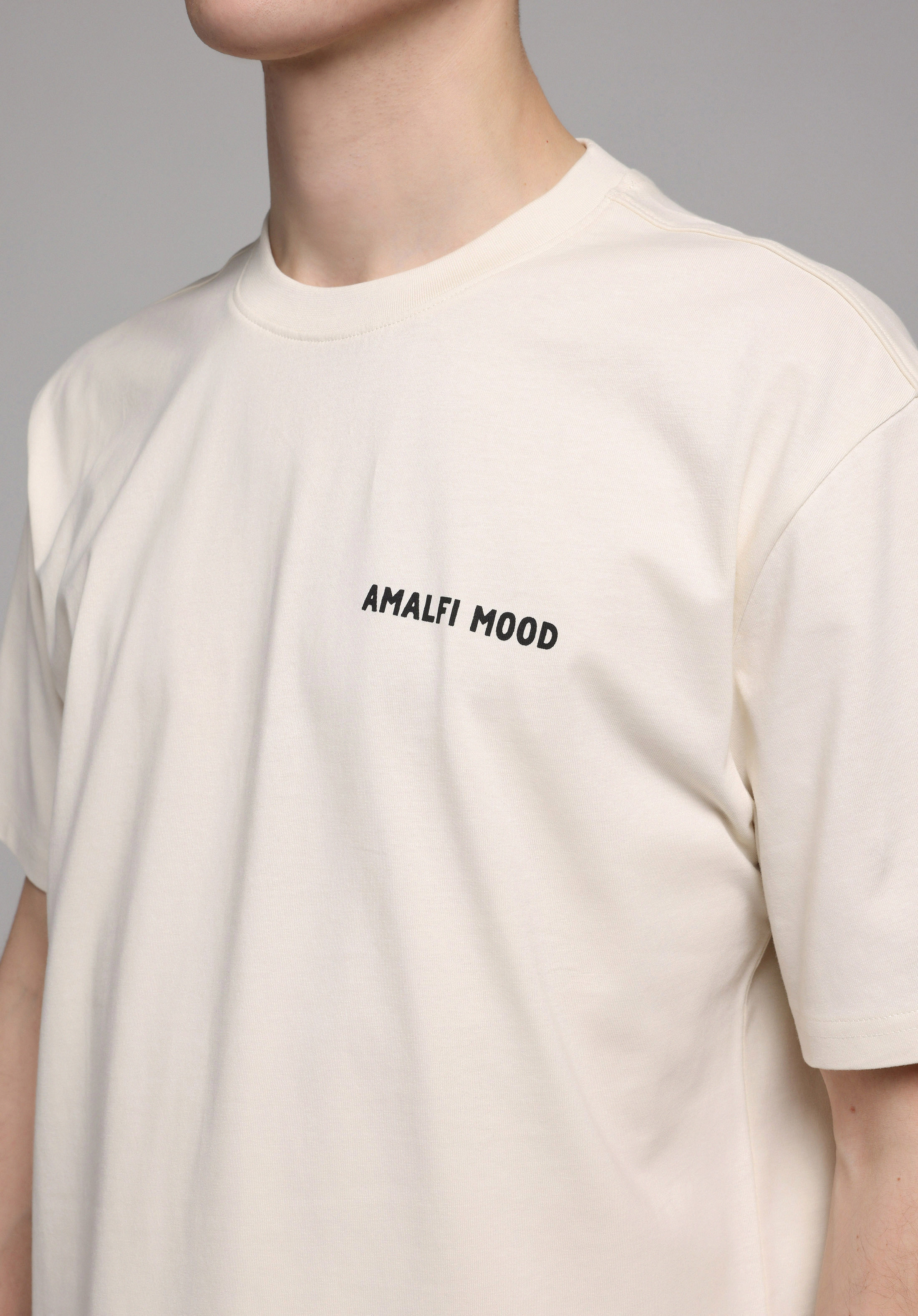 Comfort Fit Yuvarlak Yaka Baskılı Erkek Bej Kısa Kol Tişört