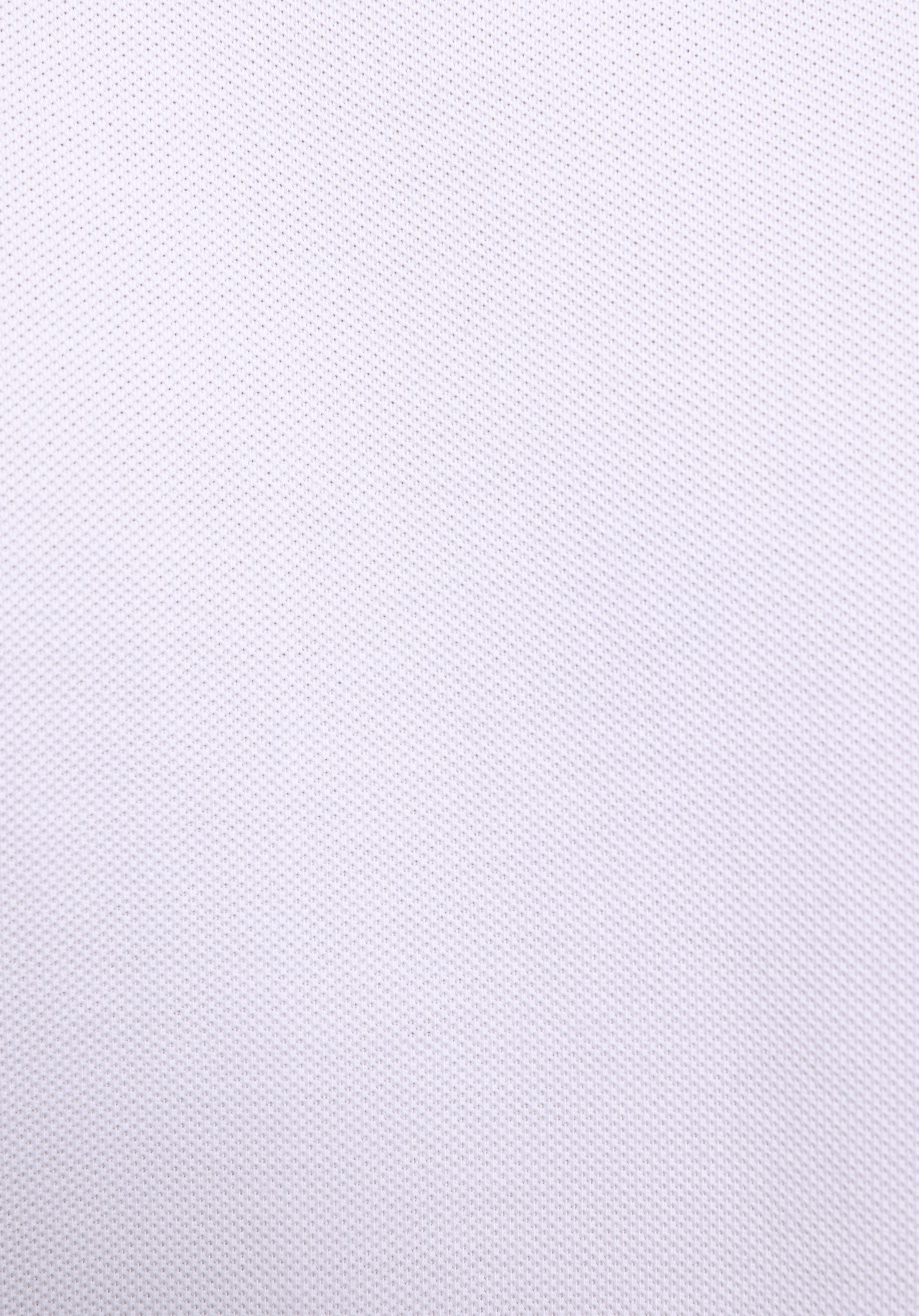 Regular Fit Polo Yaka Düz Erkek Beyaz Kısa Kol Tişört