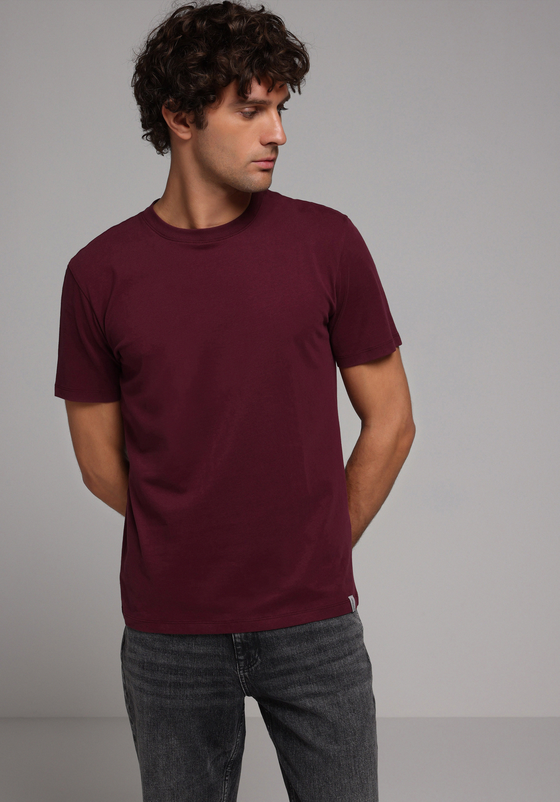 Regular Fit Yuvarlak Yaka Düz Erkek Mor Kısa Kol Tişört