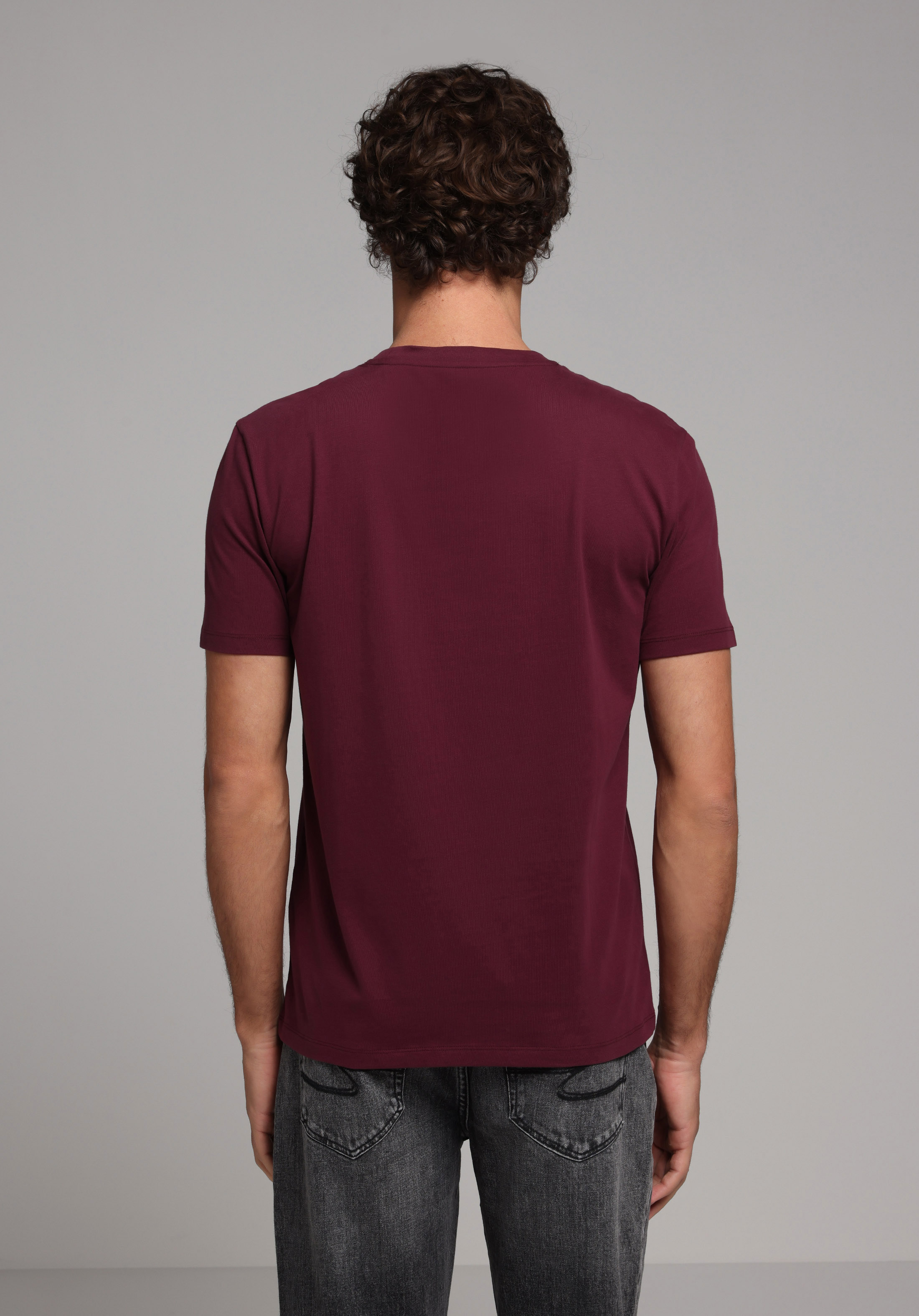 Regular Fit Yuvarlak Yaka Düz Erkek Mor Kısa Kol Tişört