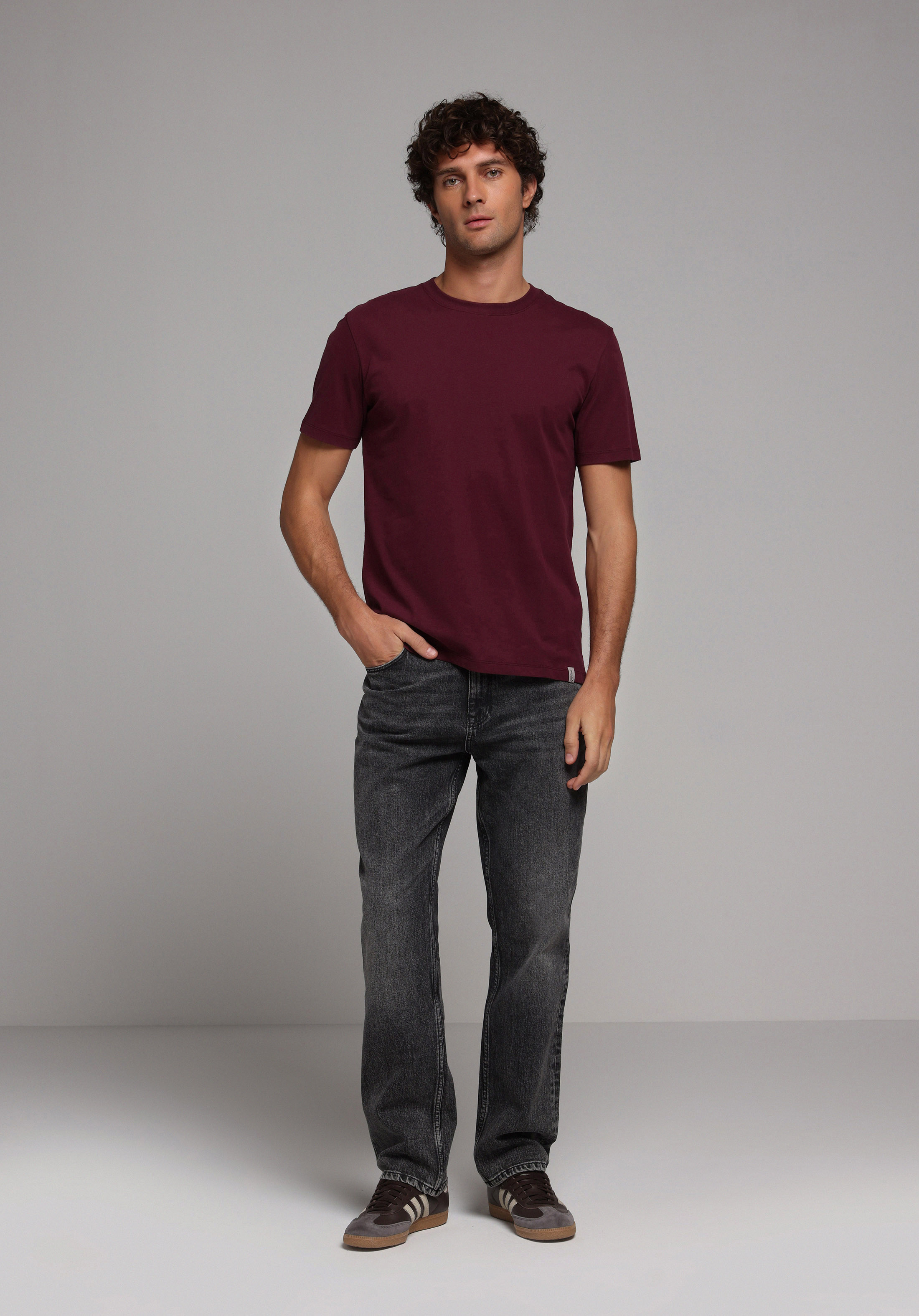 Regular Fit Yuvarlak Yaka Düz Erkek Mor Kısa Kol Tişört